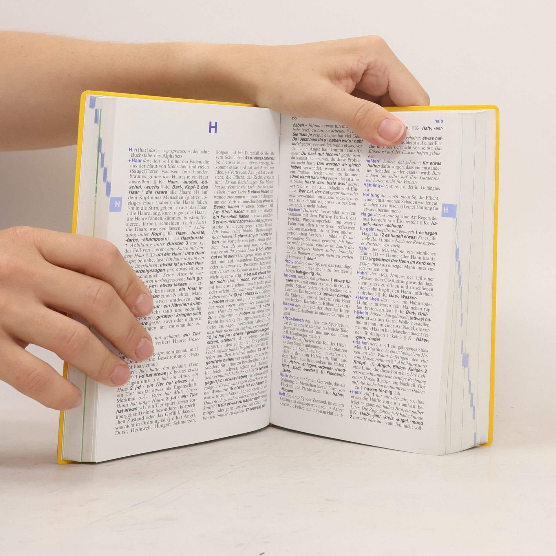 Dieter Götz Langenscheidt, Taschenwörterbuch Deutsch als Fremdsprache