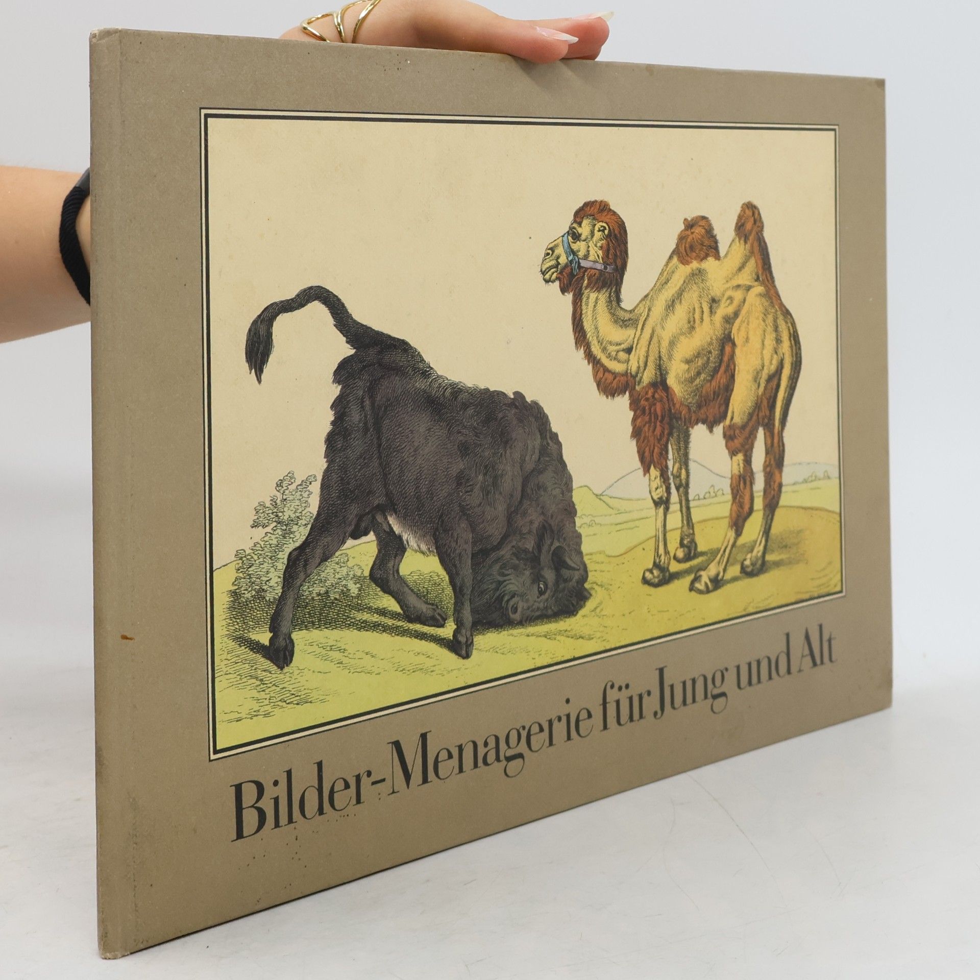 Collectif d'auteurs Bilder-Menagerie für Jung und Alt