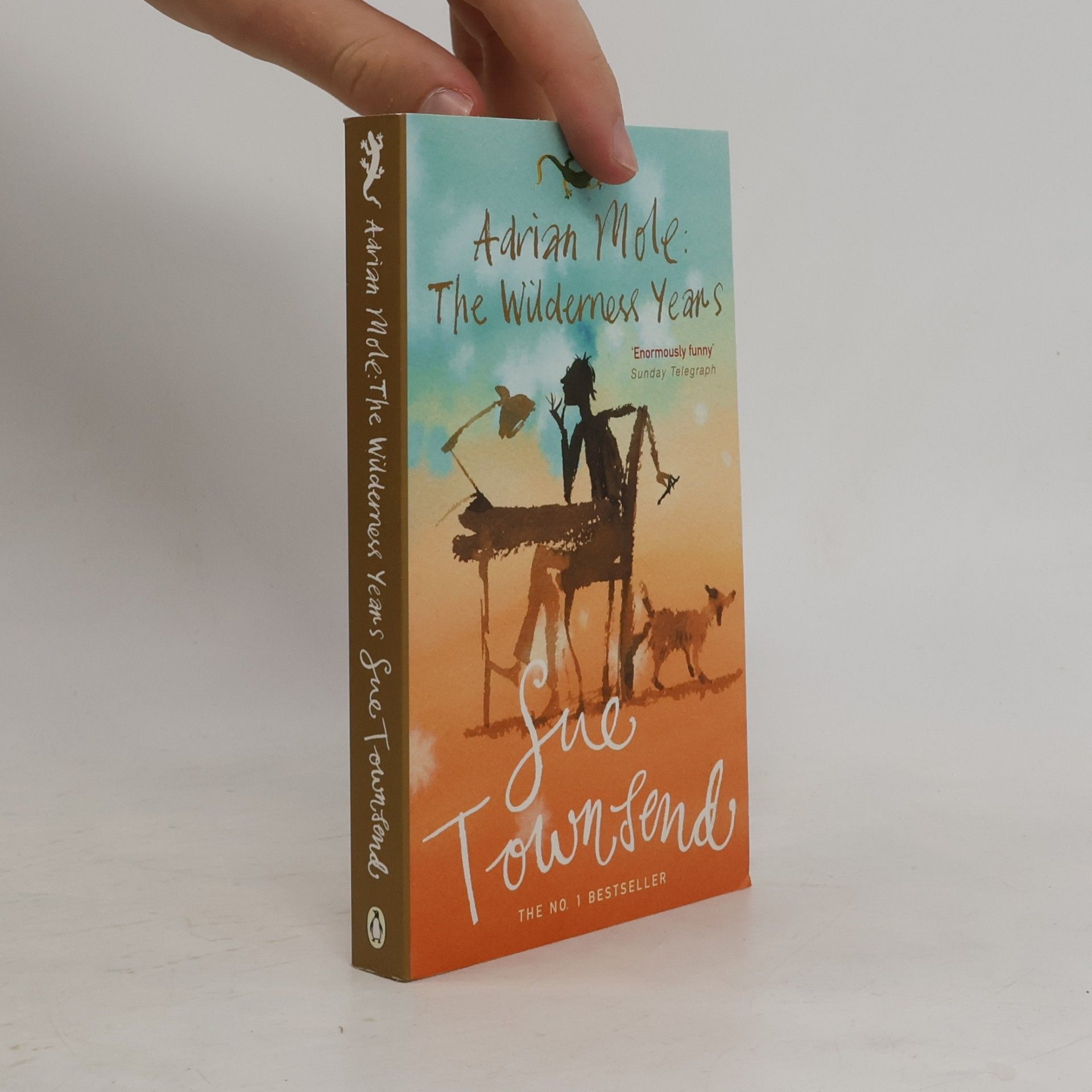 Sue Townsend Adrian Mole : the wilderness years