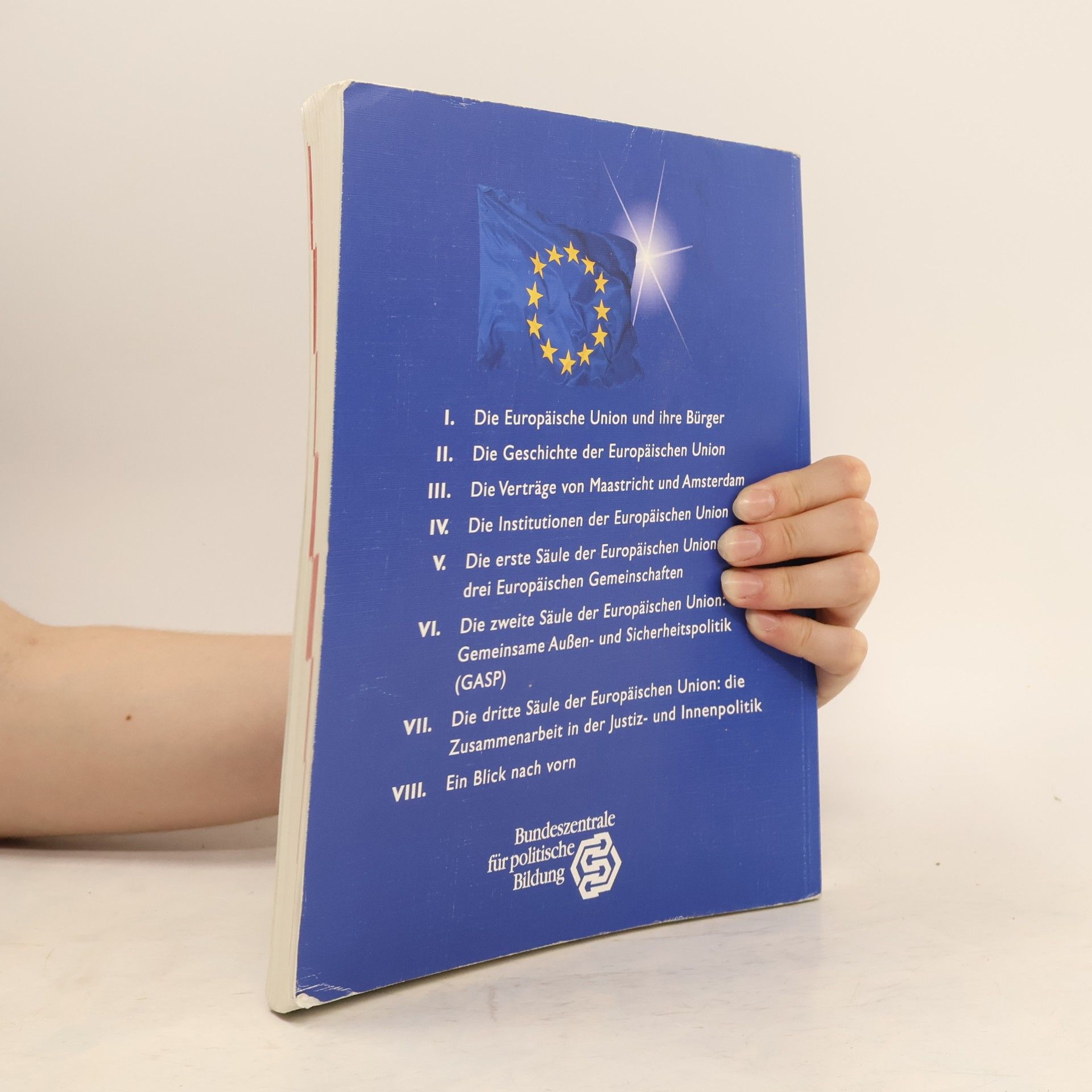Marc Fritzler Die Europäische Union