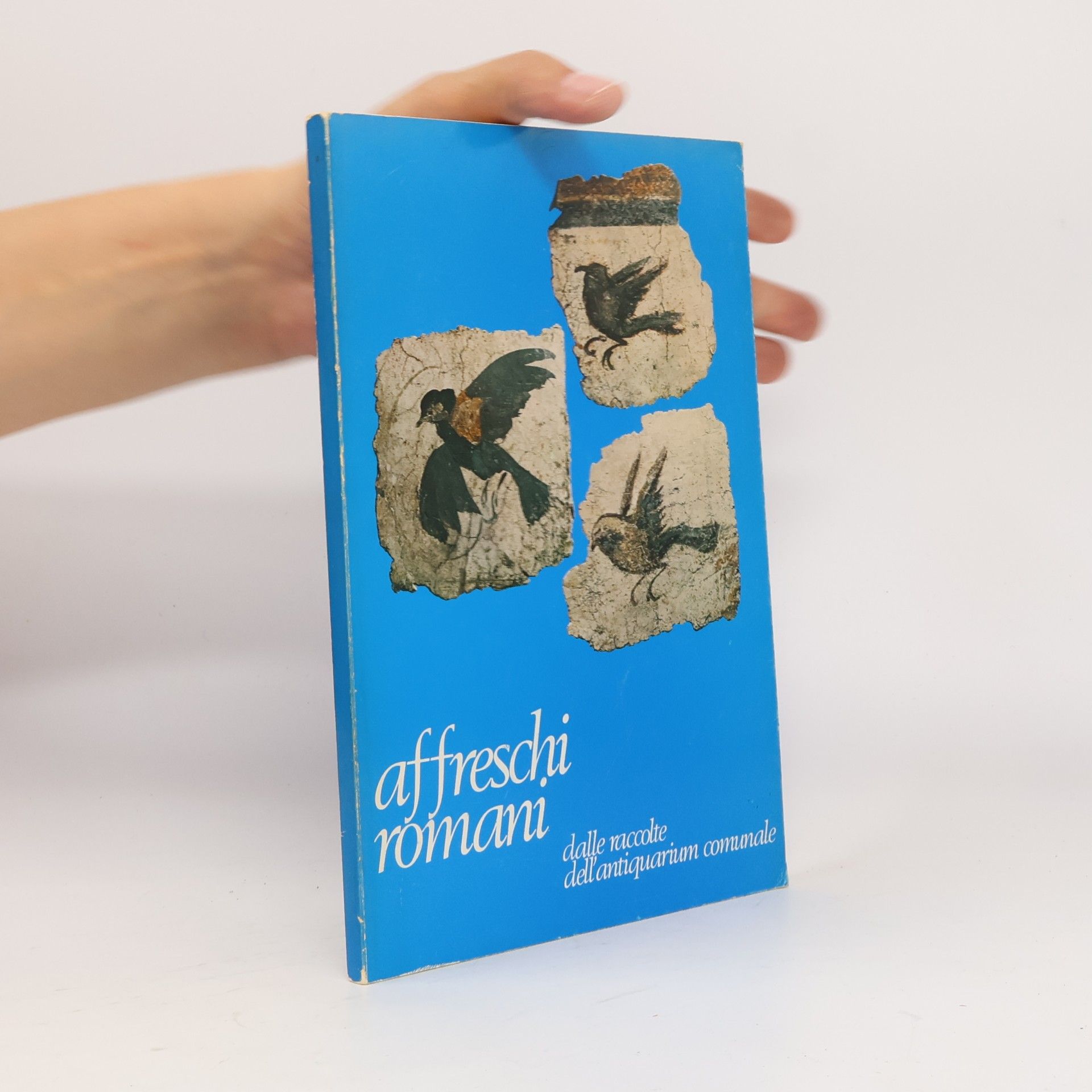 Autorenkollektiv Affreschi romani dalle raccolte dell'antiquarium comunale