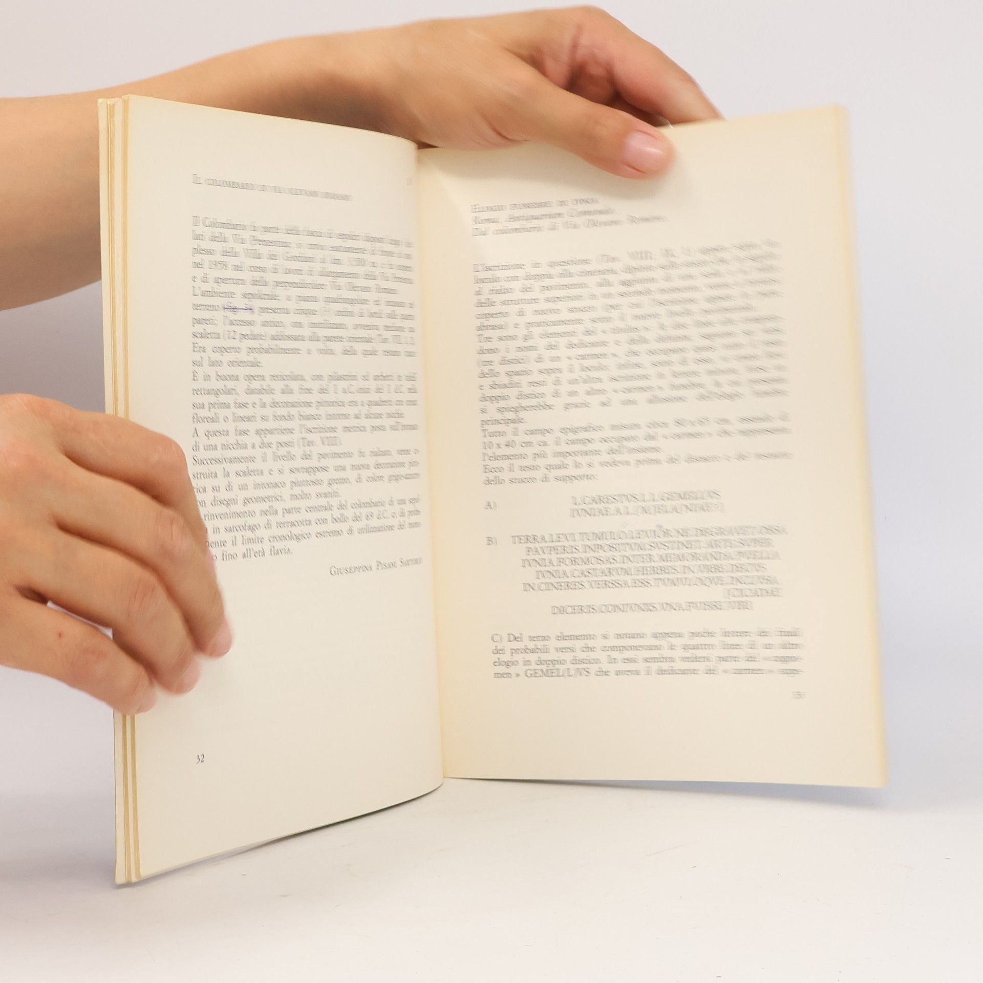 Autorenkollektiv Affreschi romani dalle raccolte dell'antiquarium comunale