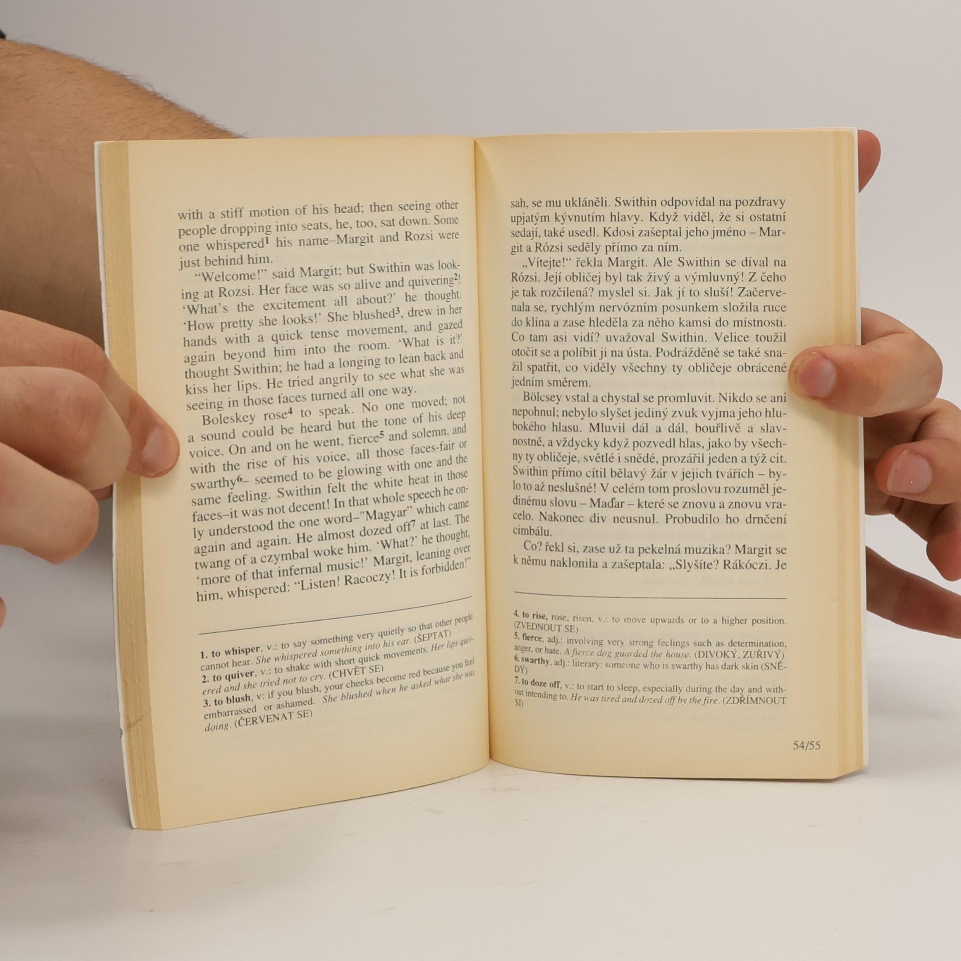 John Galsworthy Forsytovo nanebevzetí / Salvation of a Forsyte