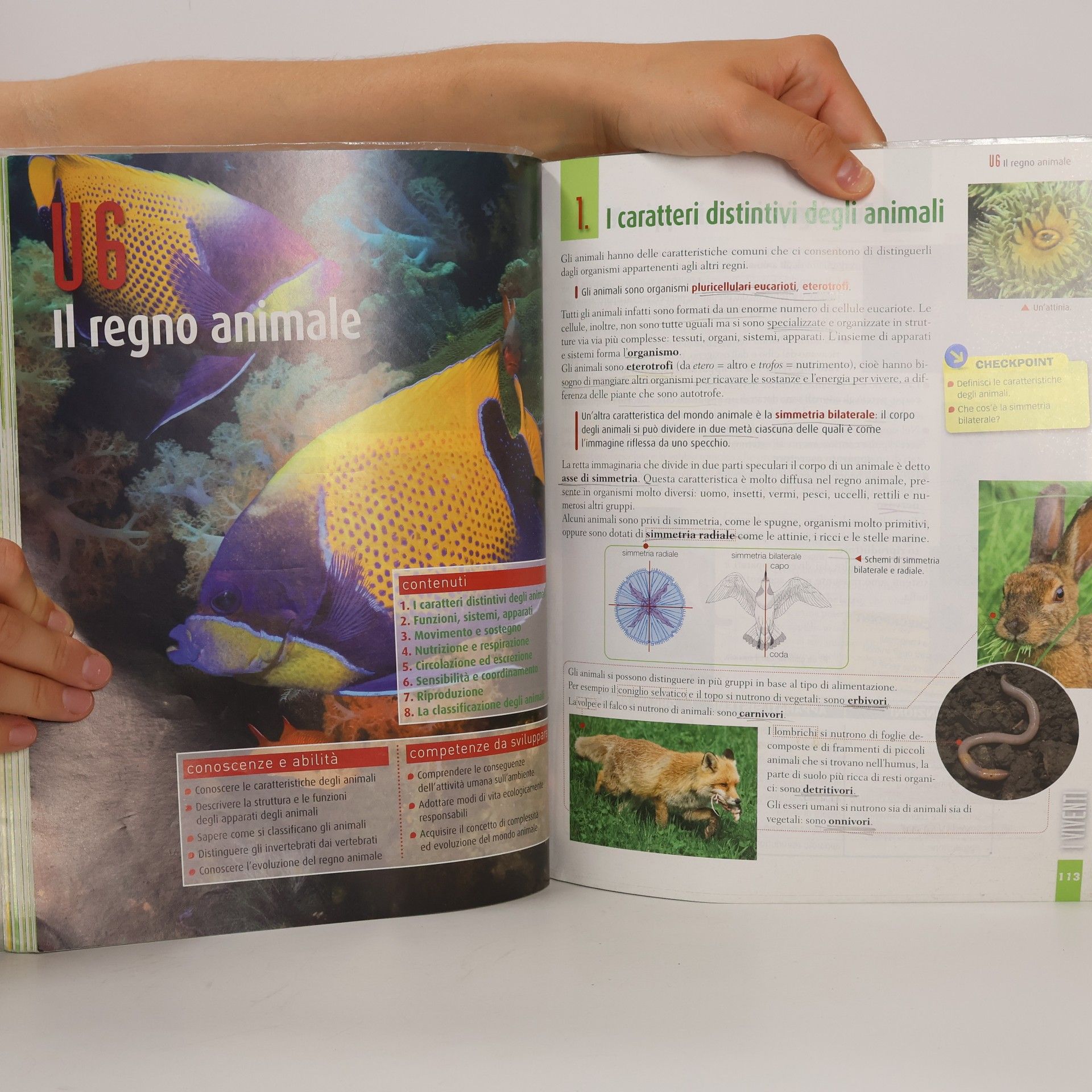 S. Dequino Il nuovo invito alla natura B