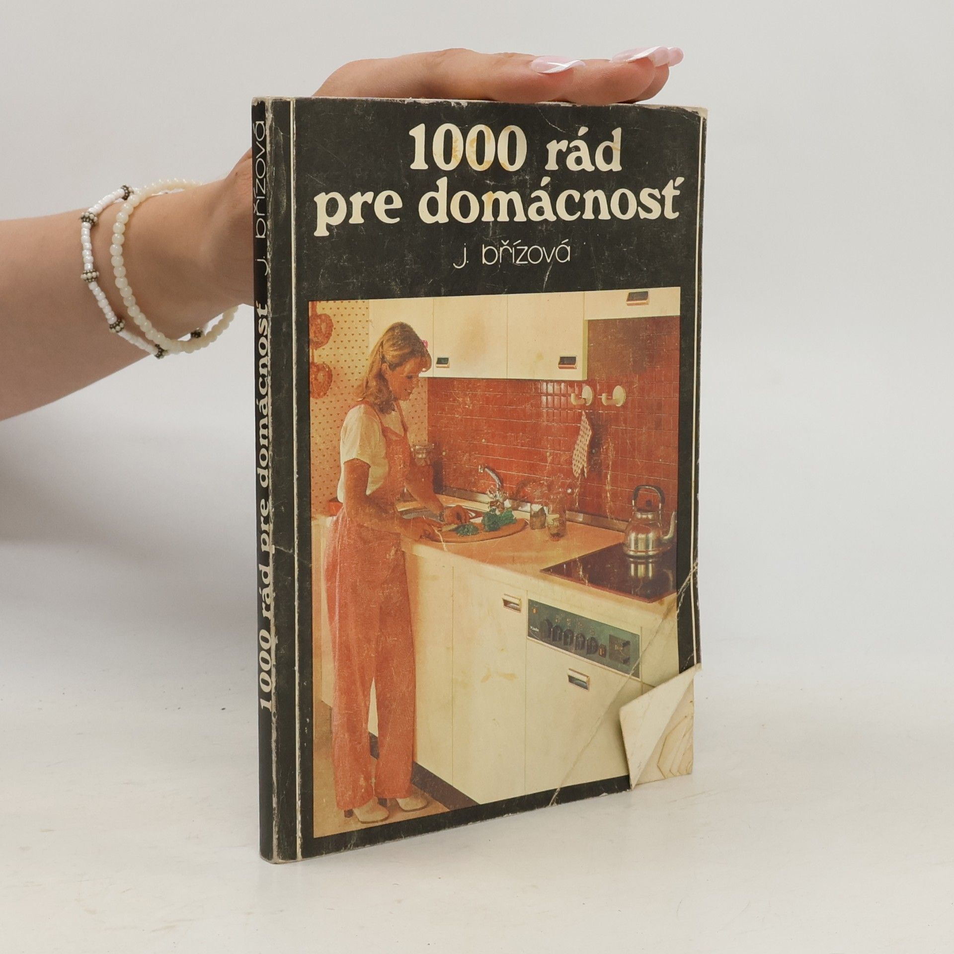 J. Břízová 1000 rád pre domácnosť