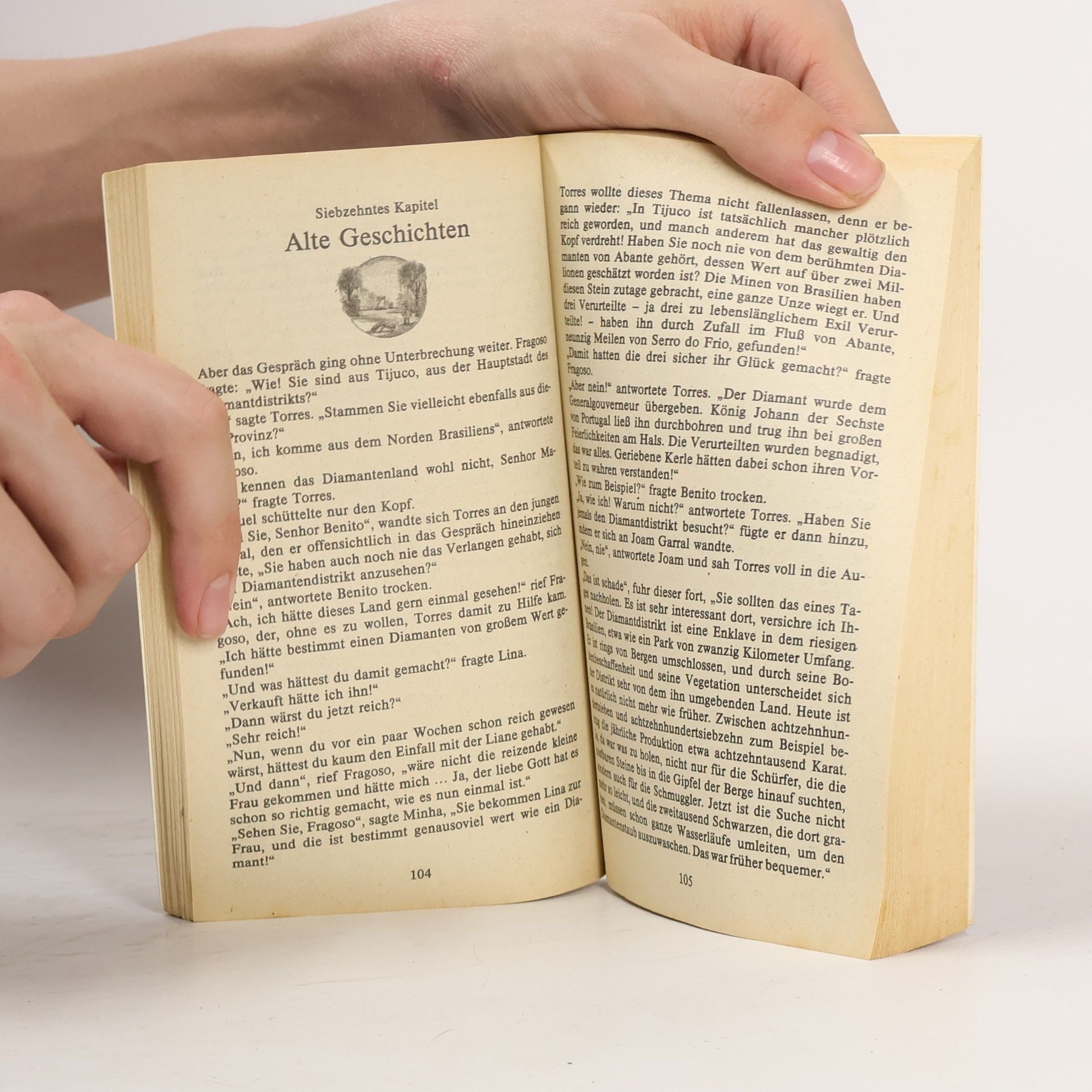 Jules Verne Die jangada