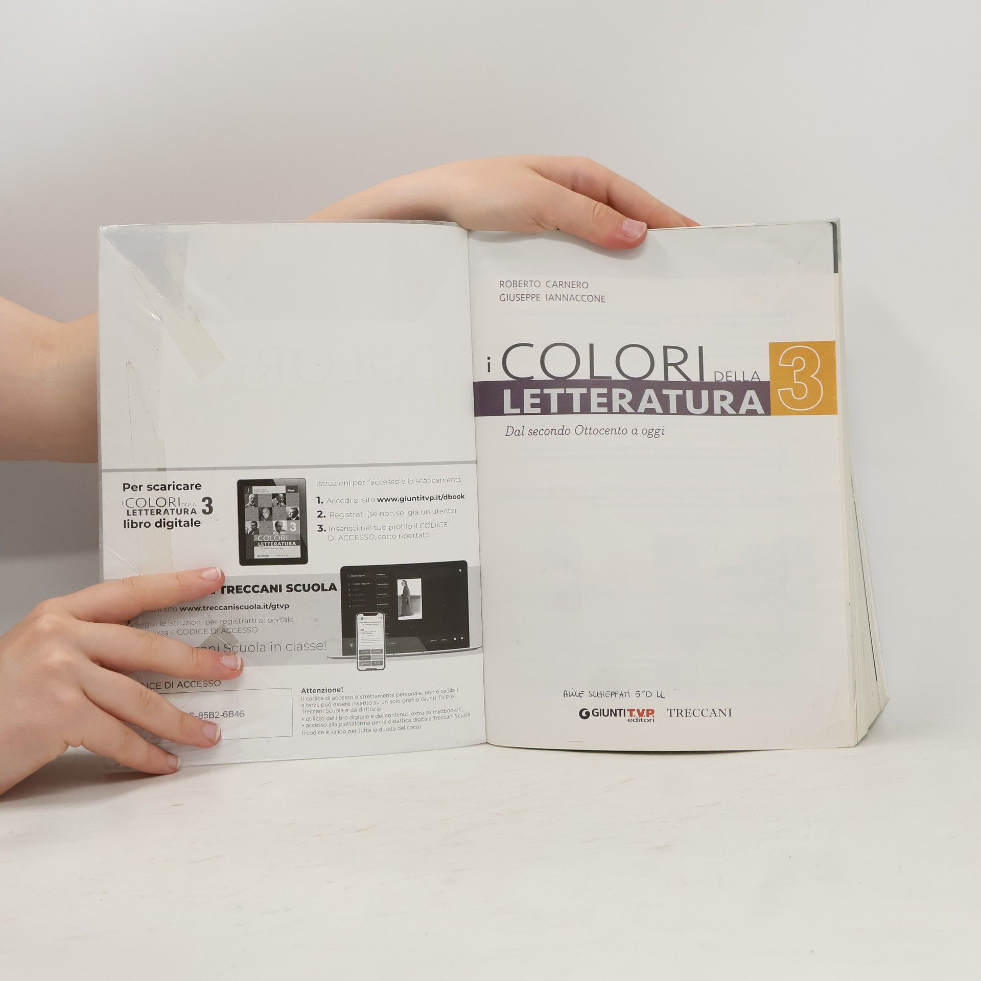 Roberto Carnero I colori della letteratura