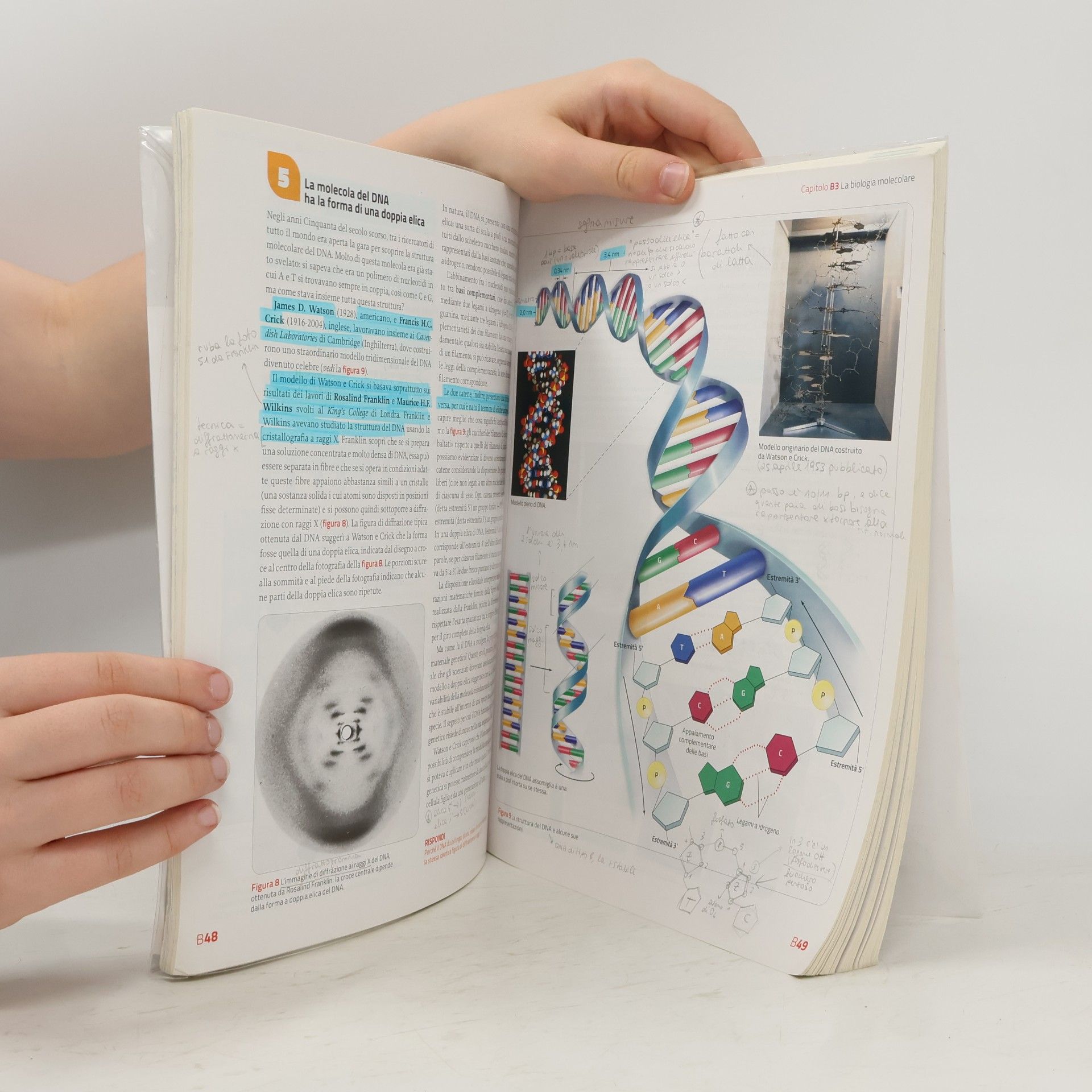 Sylvia S. Mader Immagini e concetti della biologia. Dalla biologia molecolare al corpo umano. Per le scuole superiori. Con contenuto digitale (fornito elettronicamente) - seconda edizione