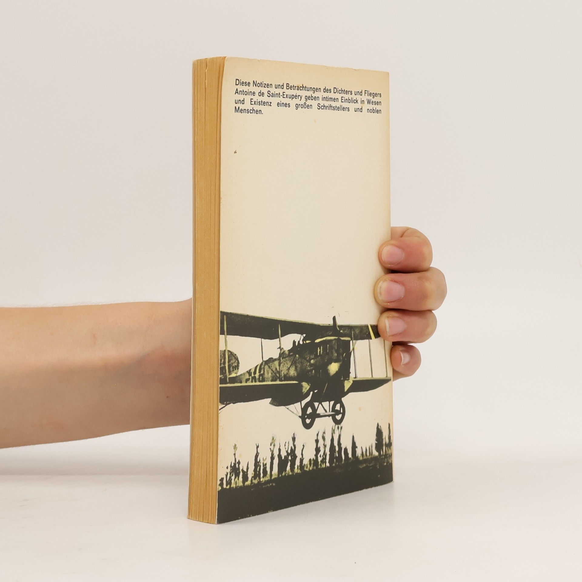 Antoine de Saint-Exupéry Carnets