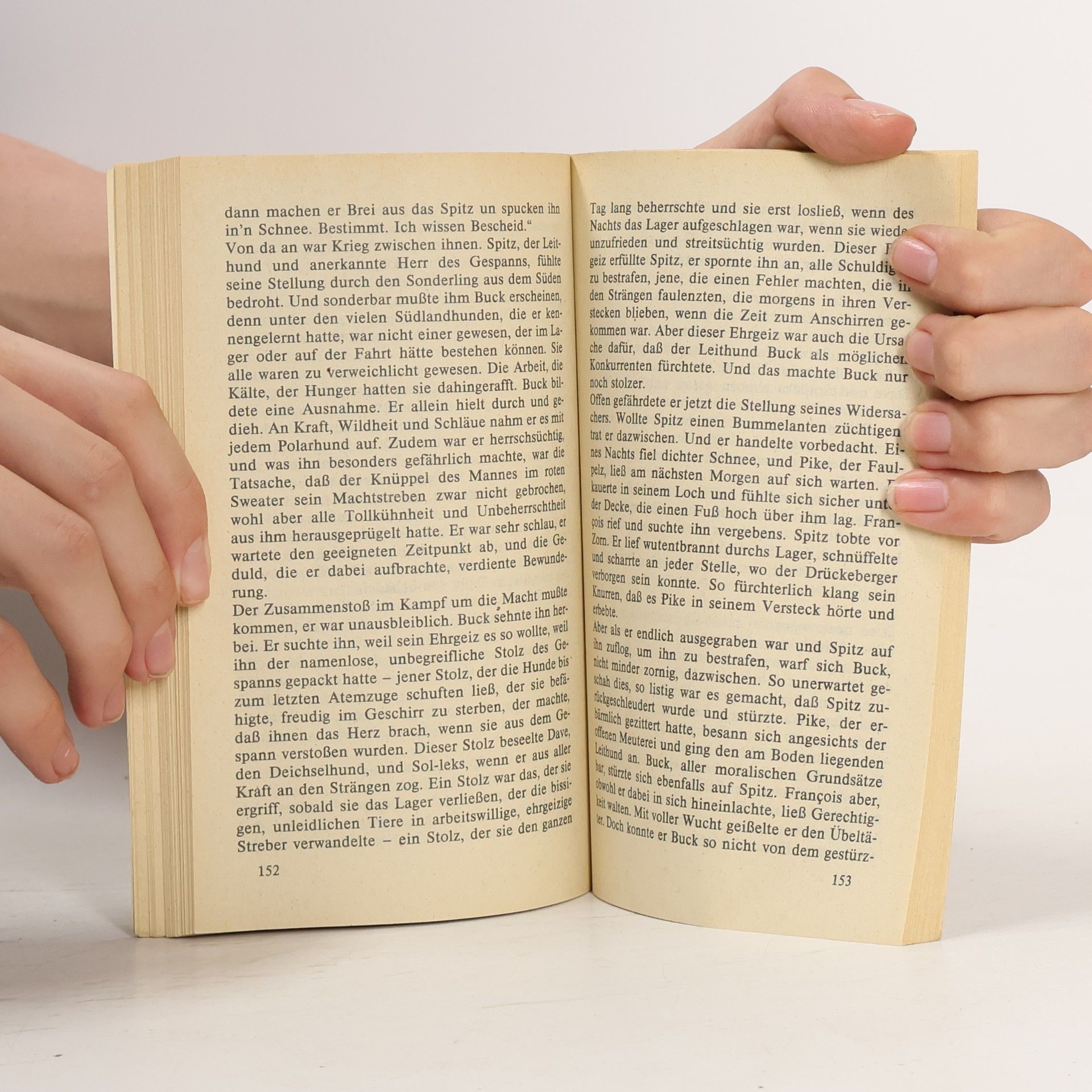 Autorenkollektiv Der weiße Pudel