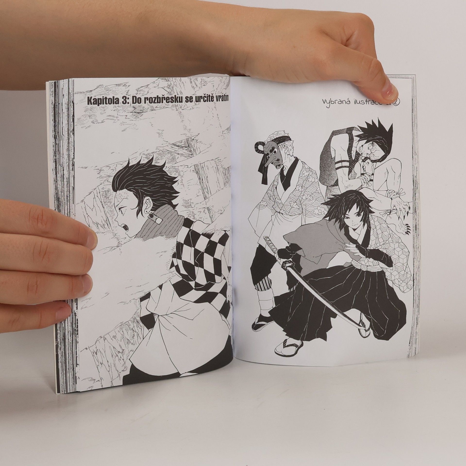 Koyoharu Gotōge Zabiják démonů. 1, Krutost