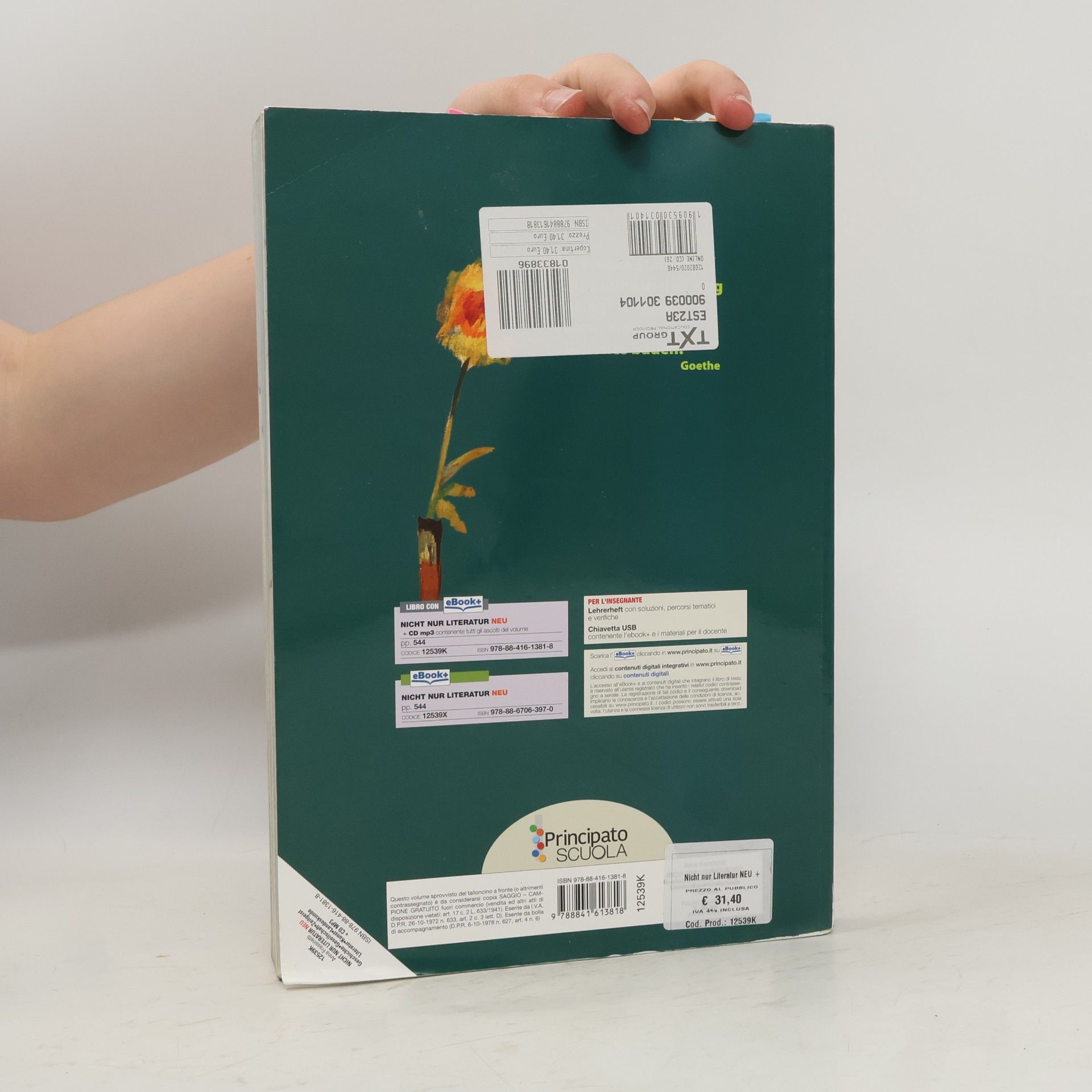Anna Frassinetti Nicht nur Literatur neu. Per le Scuole superiori. Con E-Book. Con espansione online