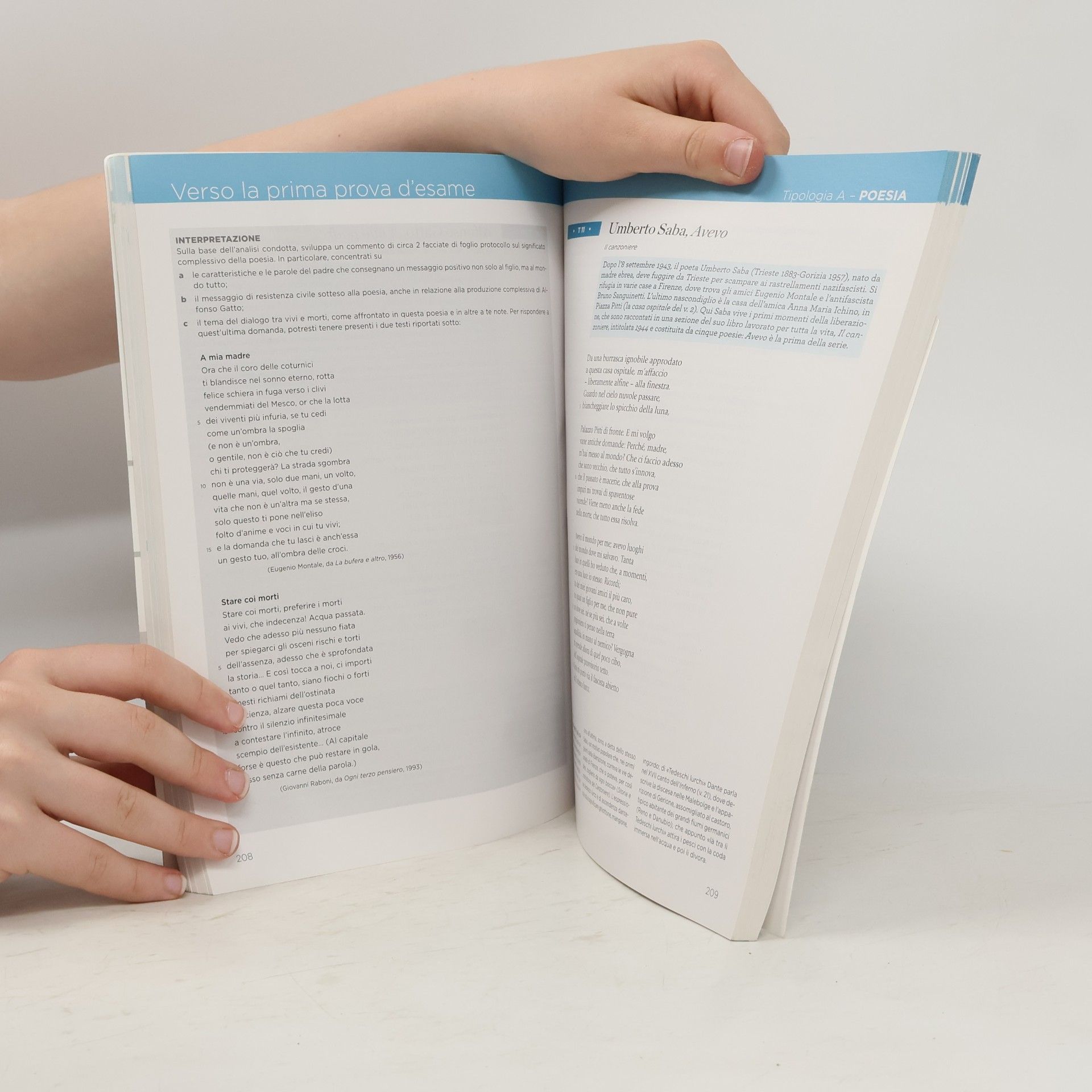 Roberto Carnero Treccani Scuola: Palestra di scrittura. Per le scuole superiori. Con e-book. Con espansione online. Verso il nuovo esame: Preparazione al nuovo esame di stato, percorso di scrittura, prove sul modello Invalsi