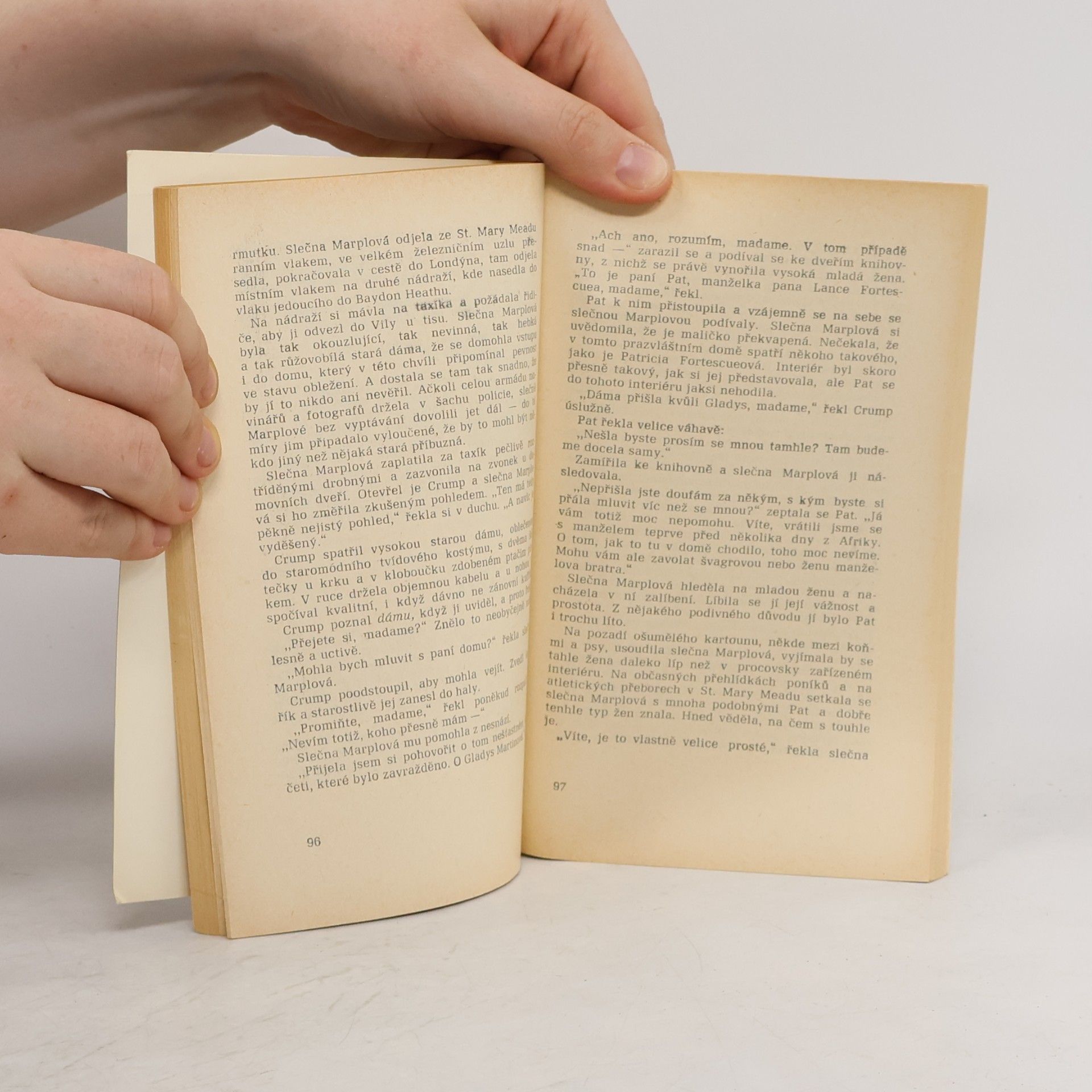 Agatha Christie Kapsa plná žita