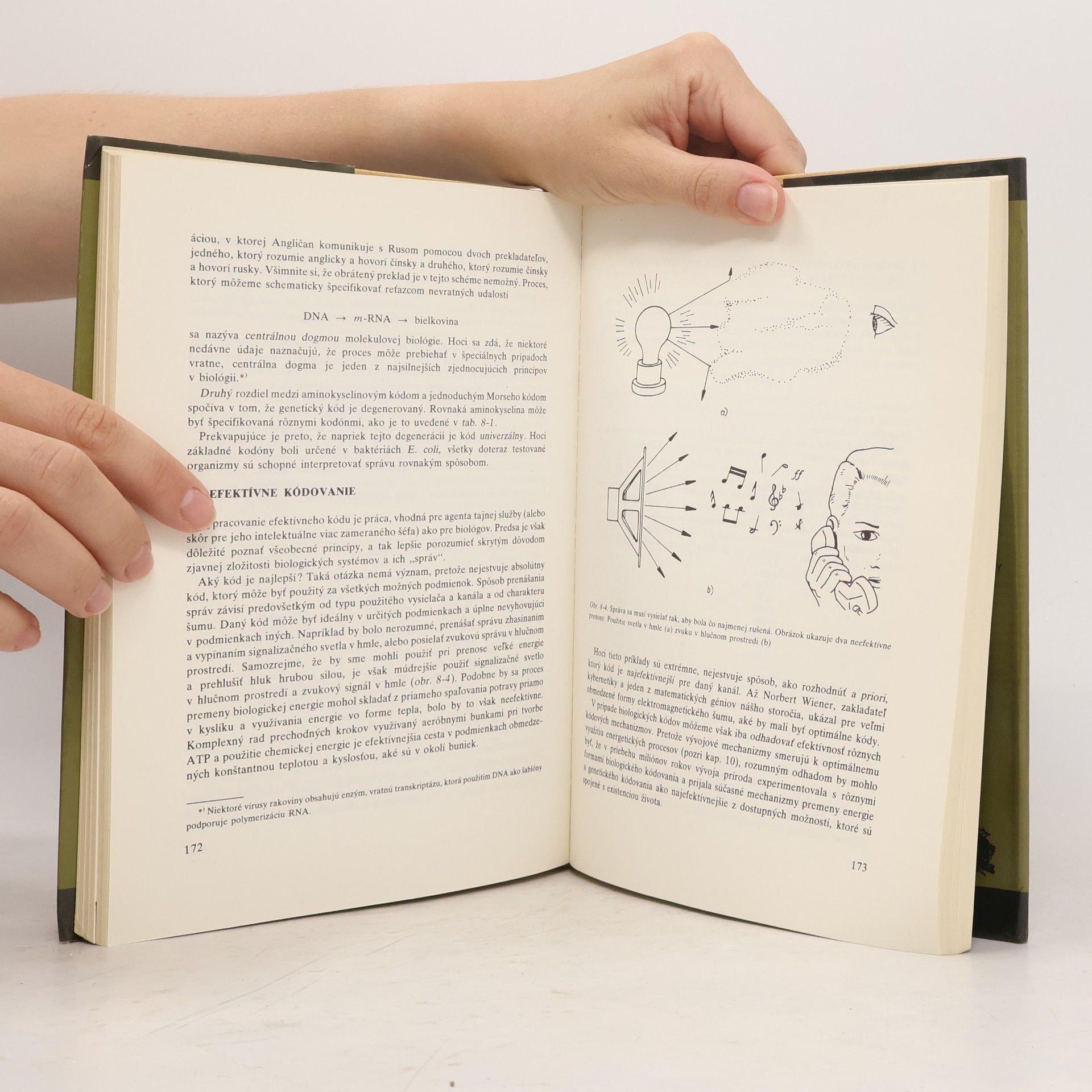 Various authors Základy bio-energetiky