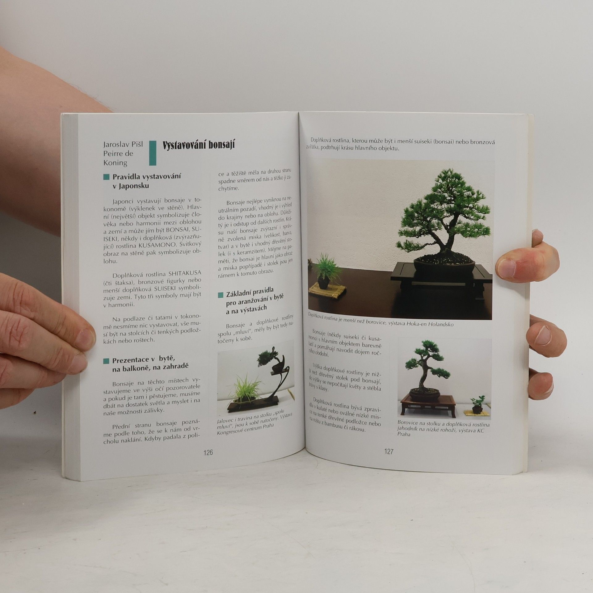 Jaroslav Pišl Bonsai nejen v paneláku