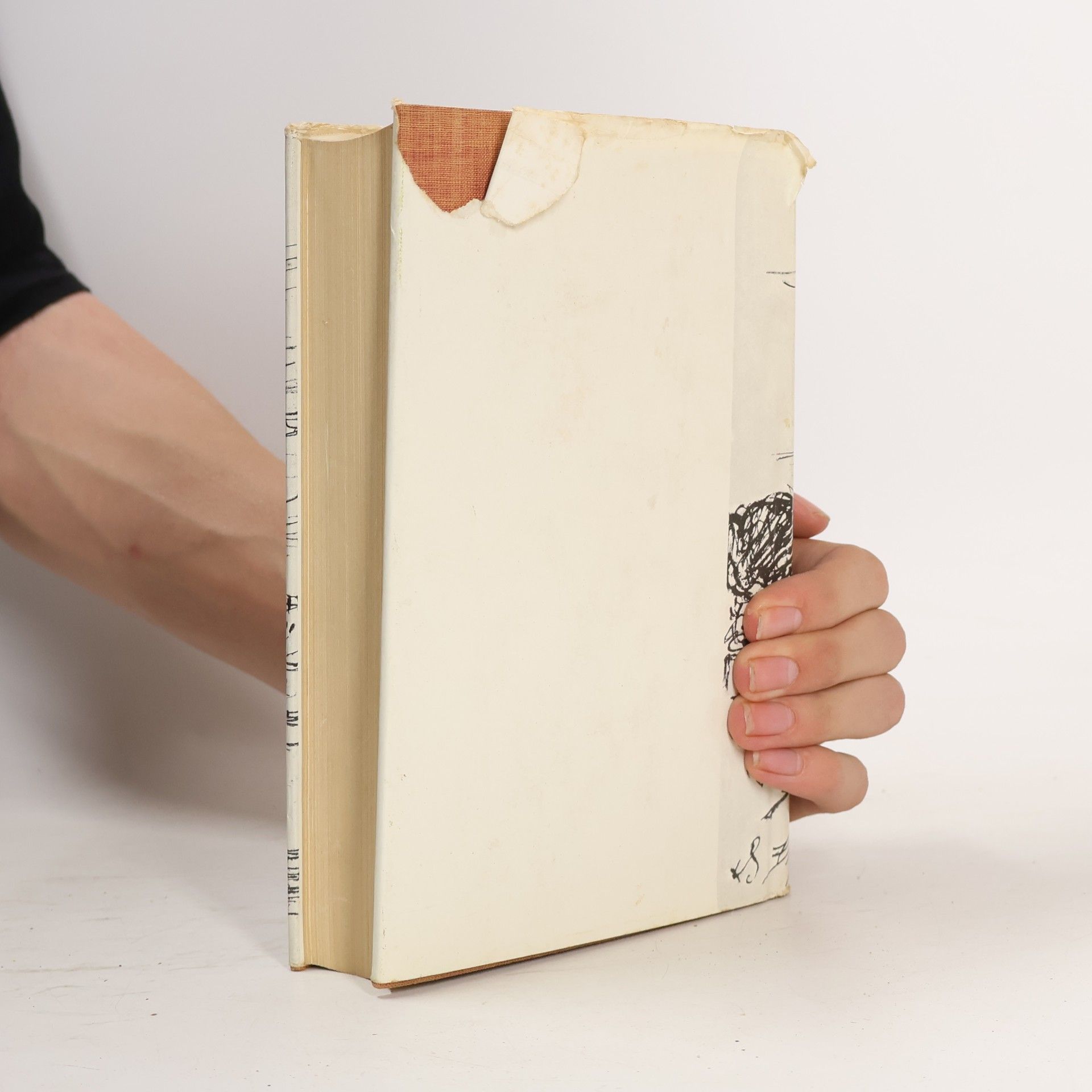 Felix Dahn Ein Kampf um Rom