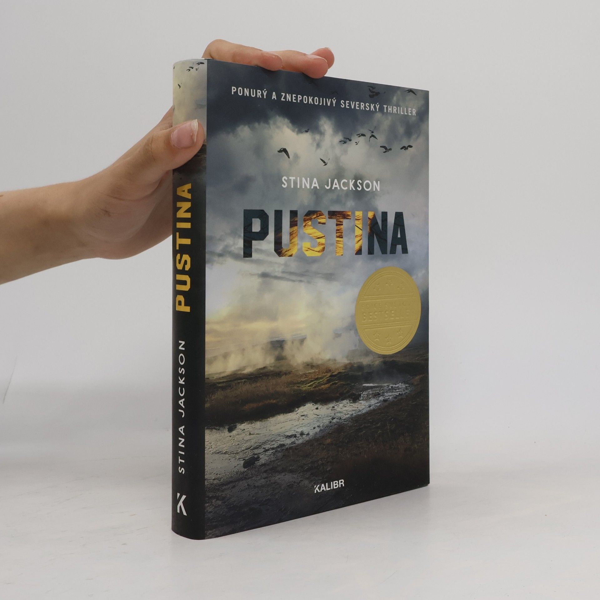 Pustina
