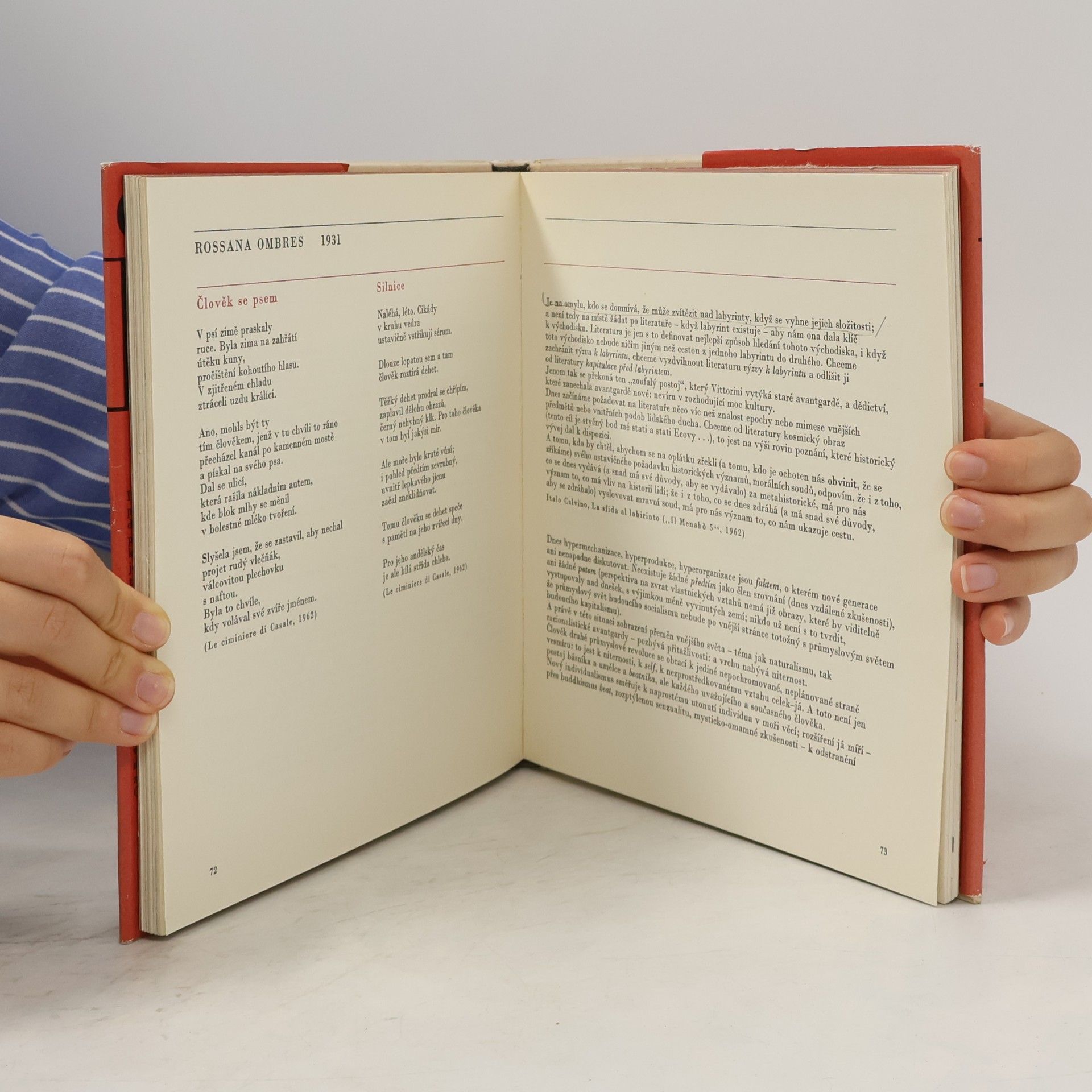 Vladimír Mikeš Přerušený ráj. Antologie moderní italské poezie