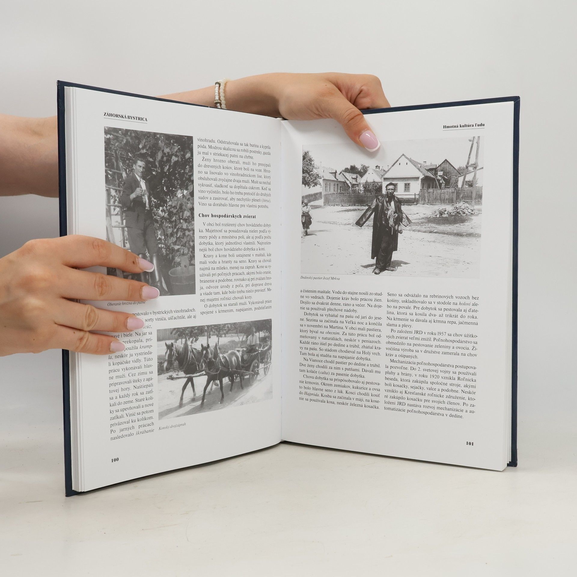 Miroslav Bielik Záhorská Bystrica Historicko-národopisná monografia