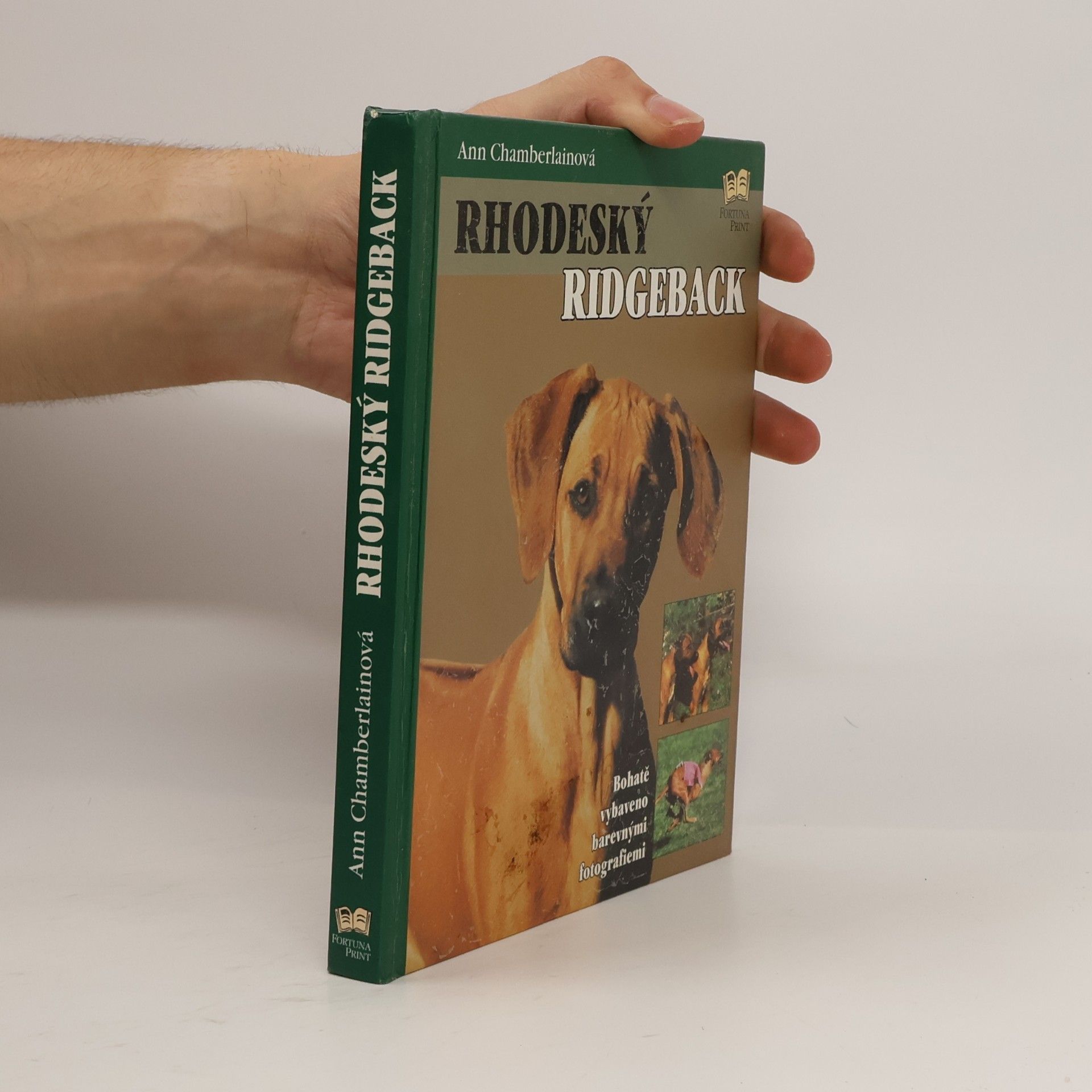 Ann Chamberlain Rhodeský ridgeback