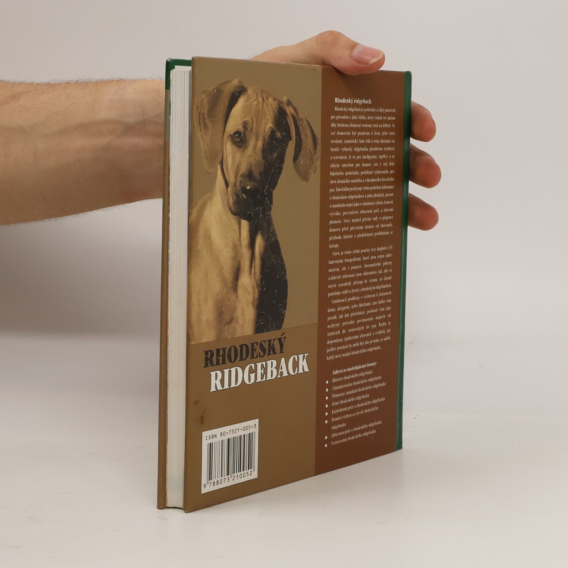 Ann Chamberlain Rhodeský ridgeback