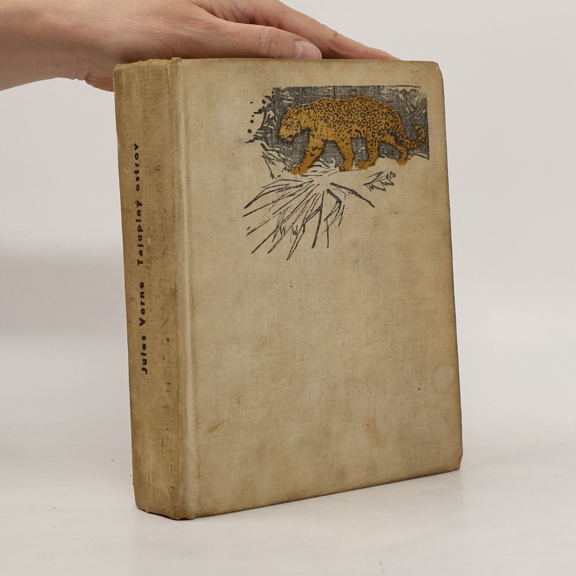 Jules Verne Tajuplný ostrov