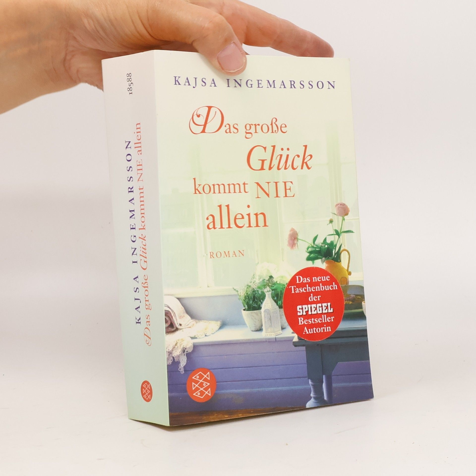 Kajsa Ingemarsson Das grose Glück kommt nie allein