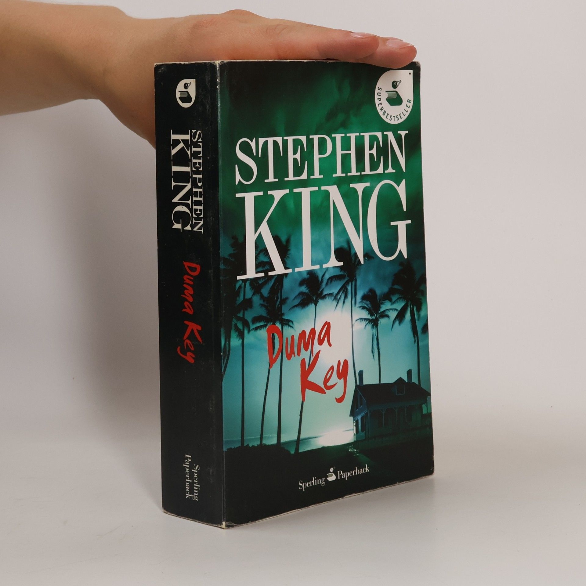 Stephen King Duma Key