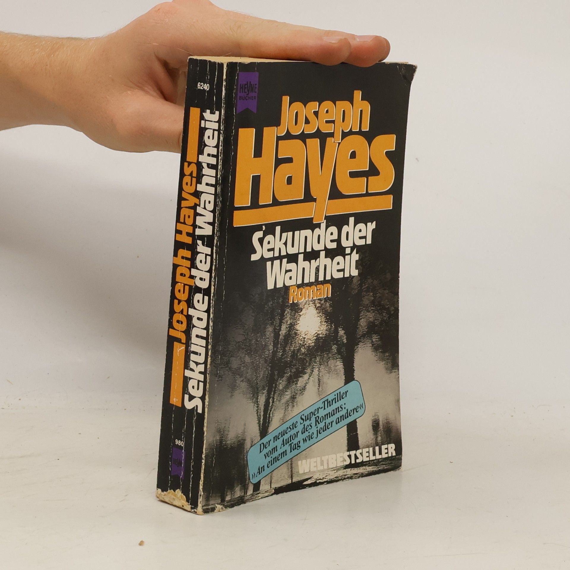 Joseph Hayes Sekunde der Wahrheit