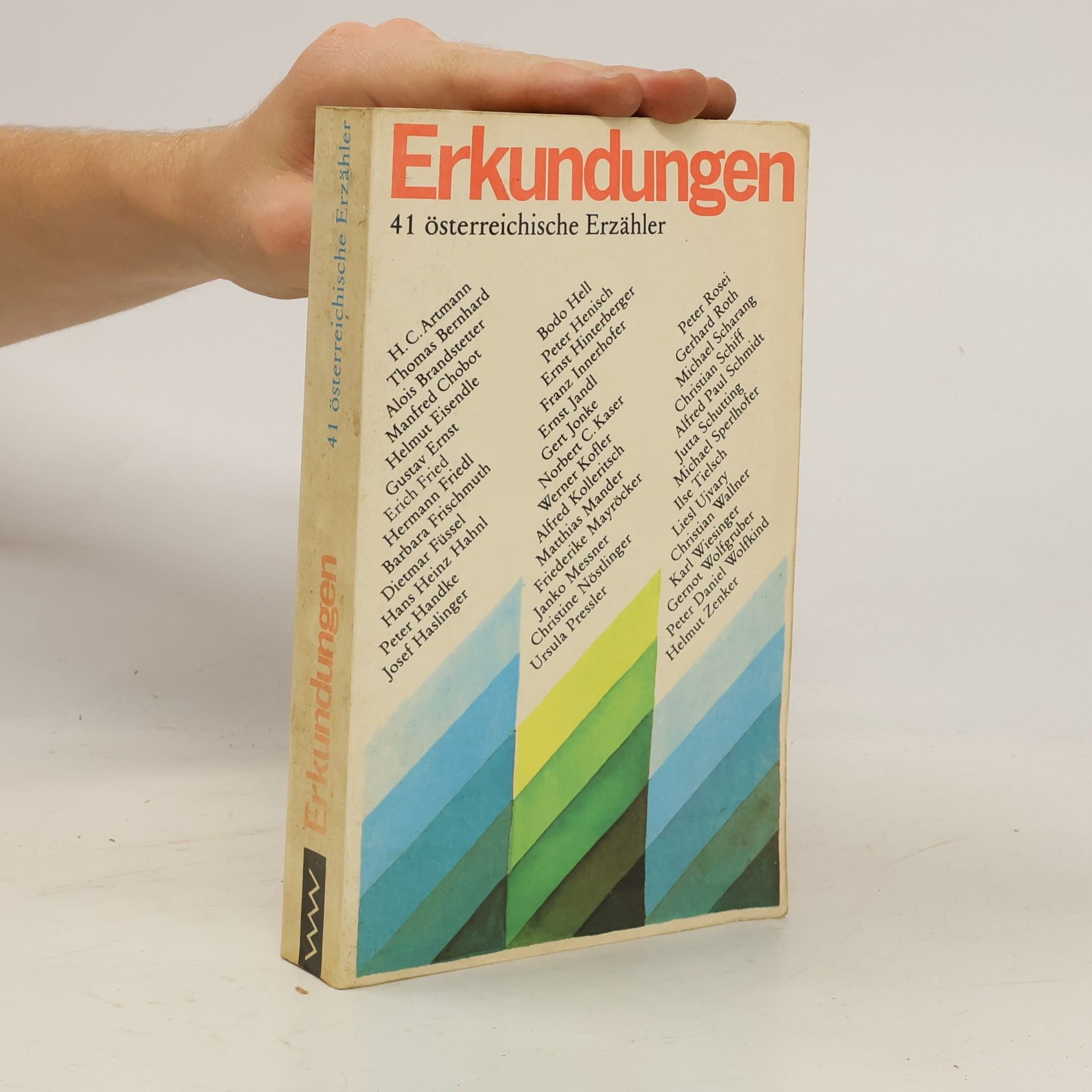 Kolektiv autorů Erkundungen. 41 österreichische Erzähler
