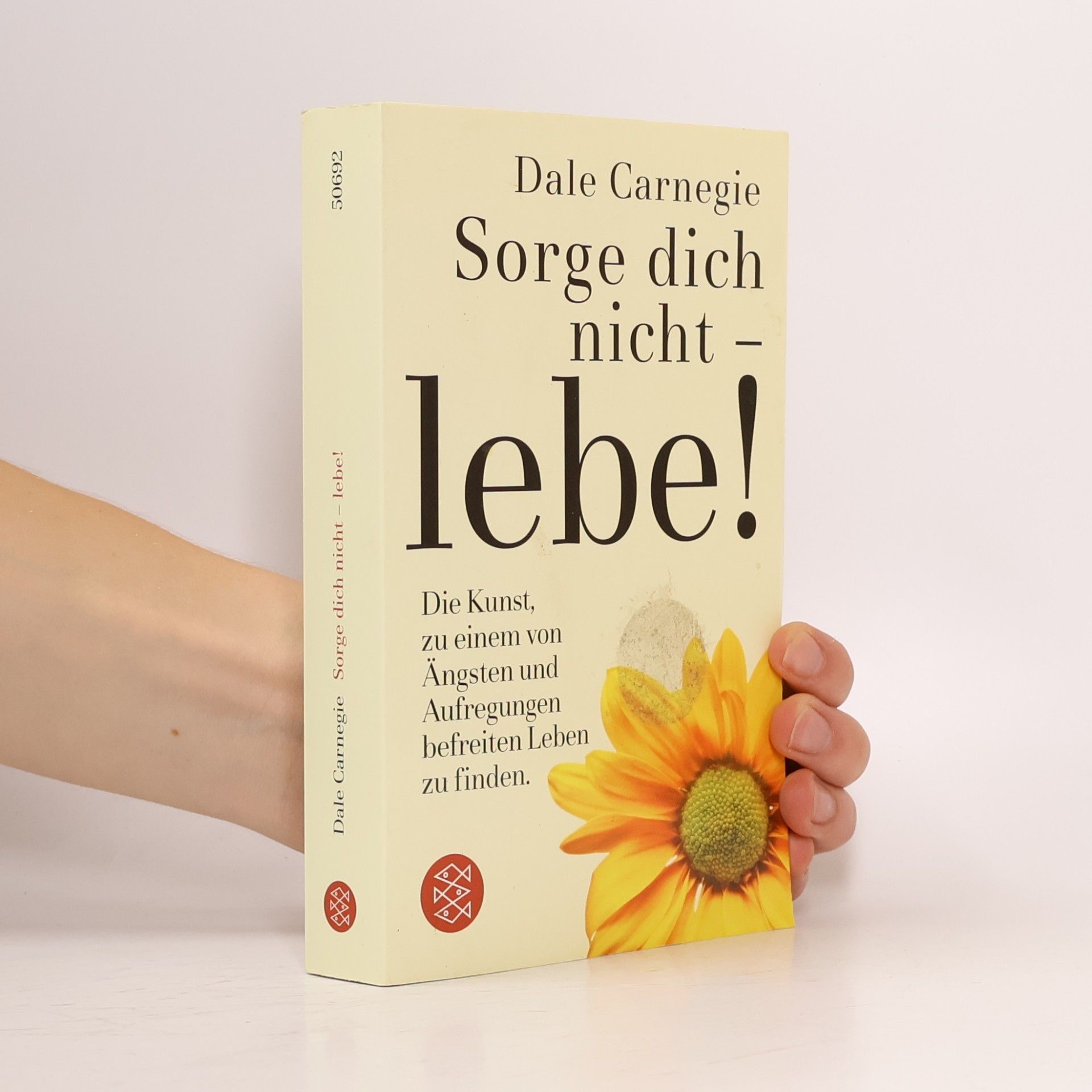 Dale Carnegie Sorge dich nicht - lebe!