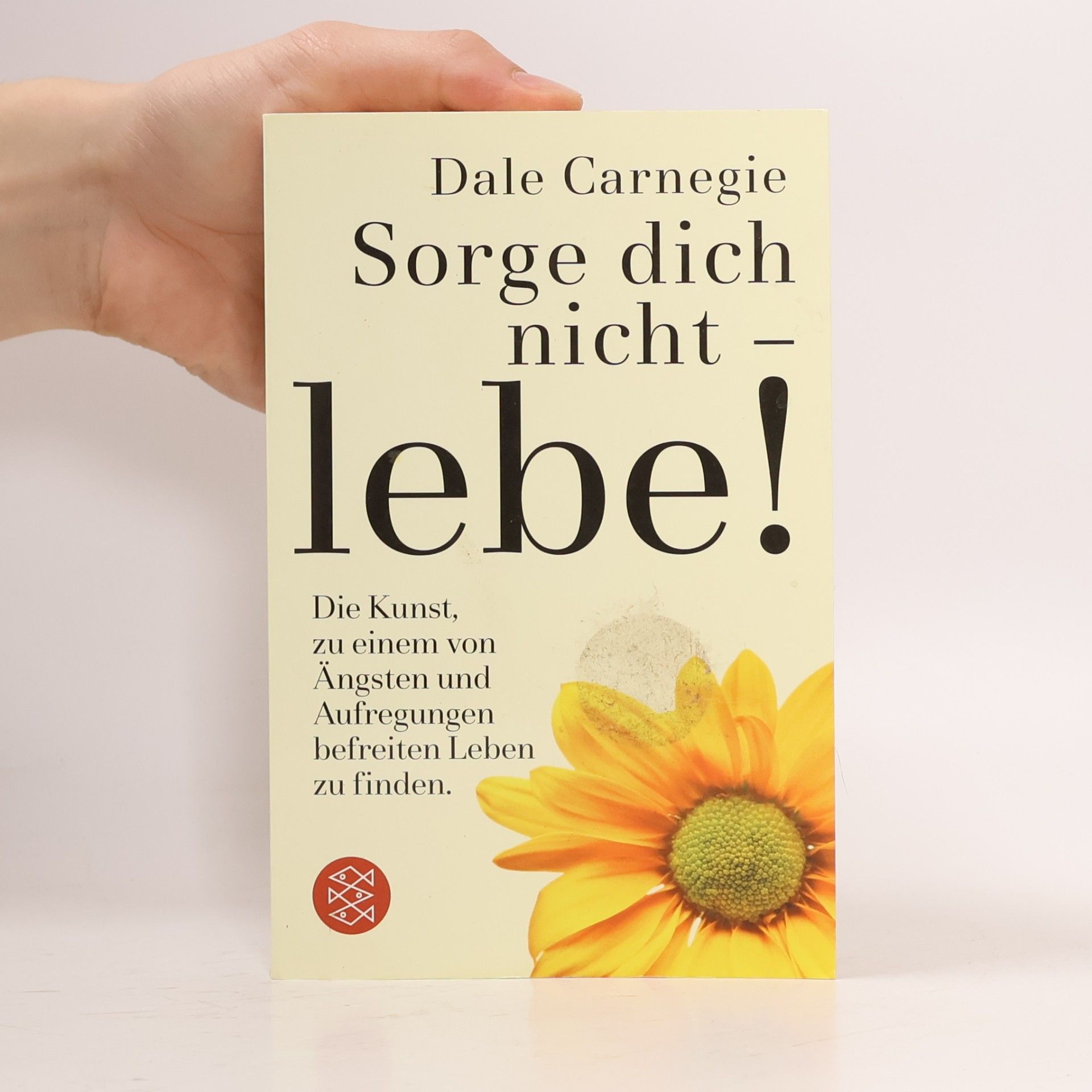 Dale Carnegie Sorge dich nicht - lebe!