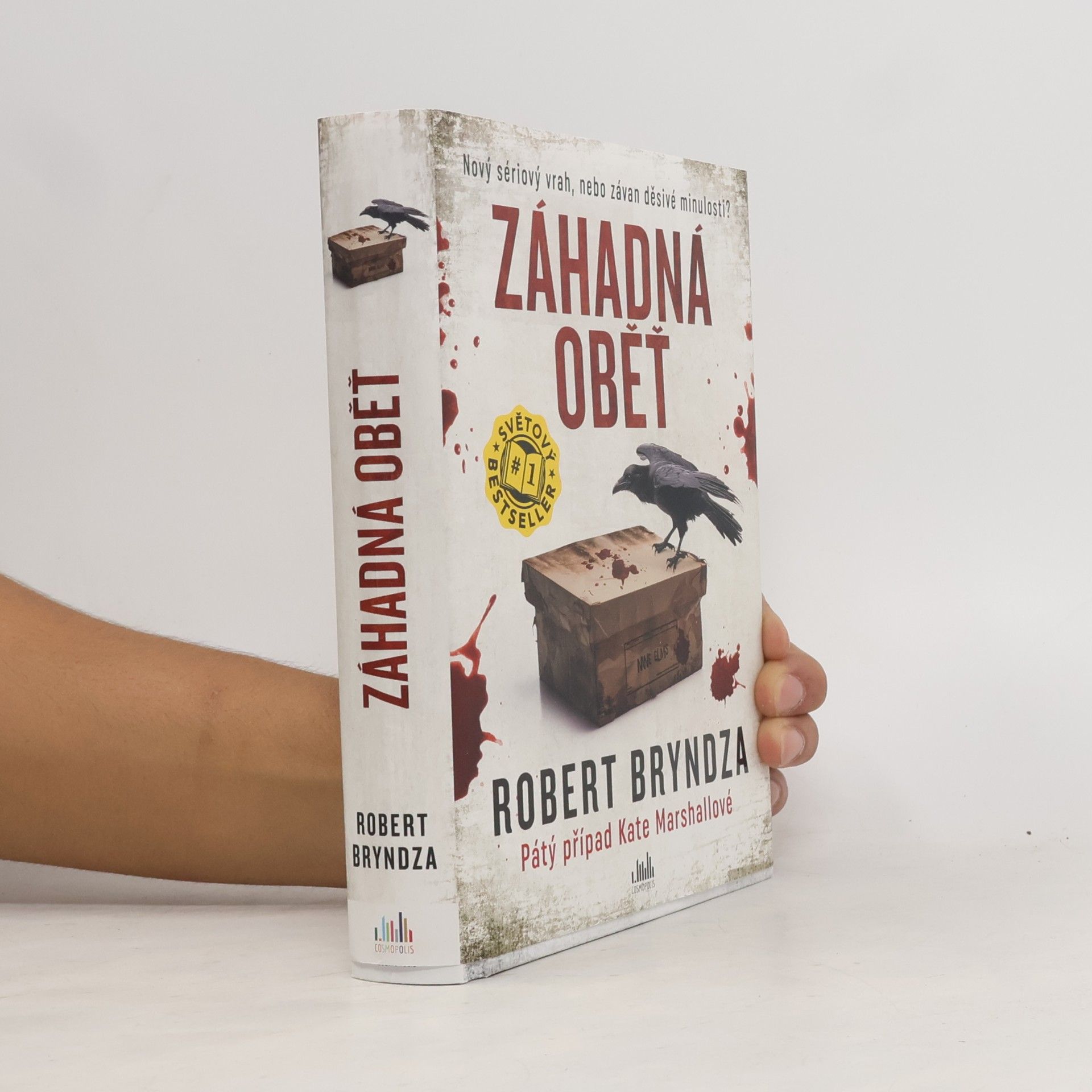Robert Bryndza Záhadná oběť