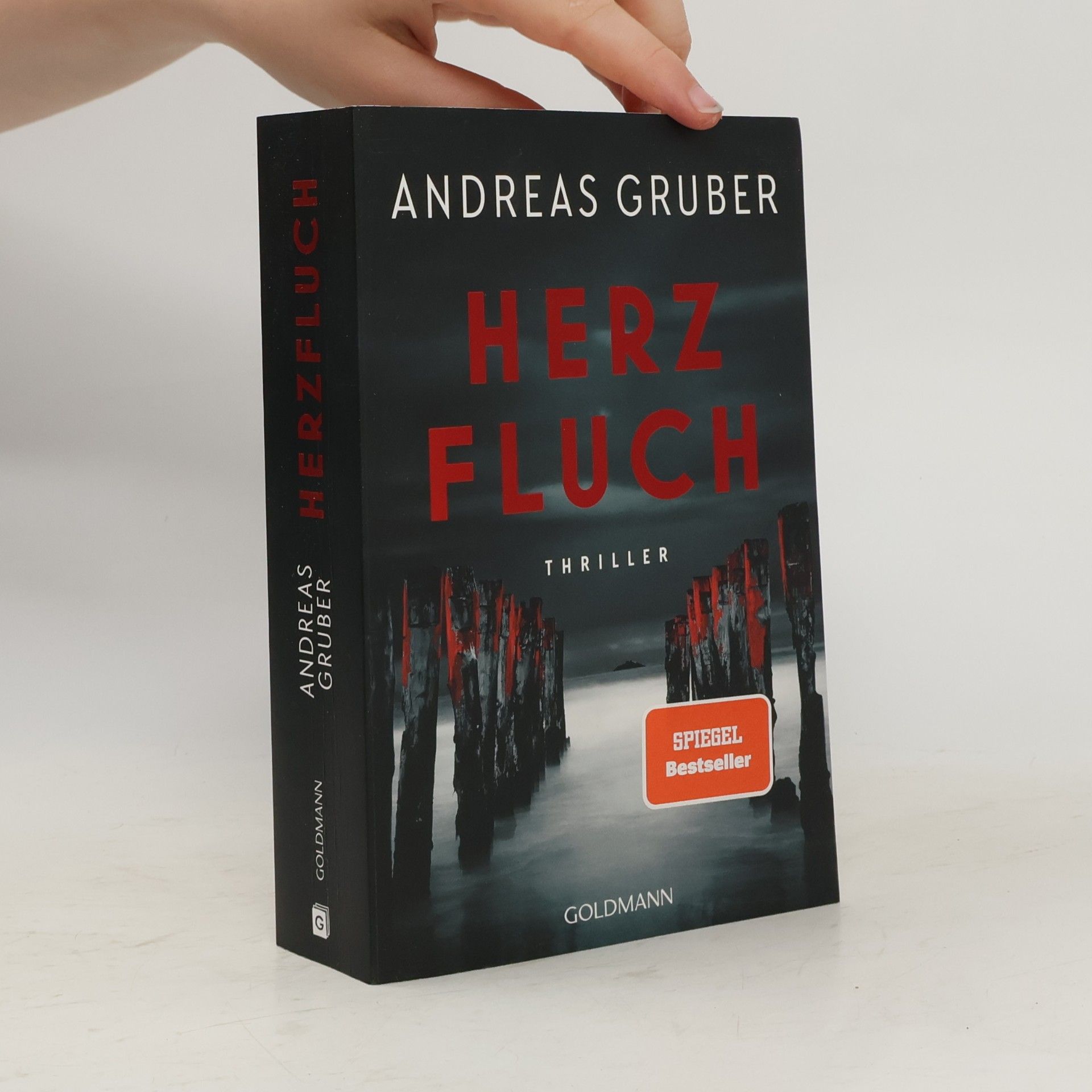 Herz-Reihe - 2: Herzfluch