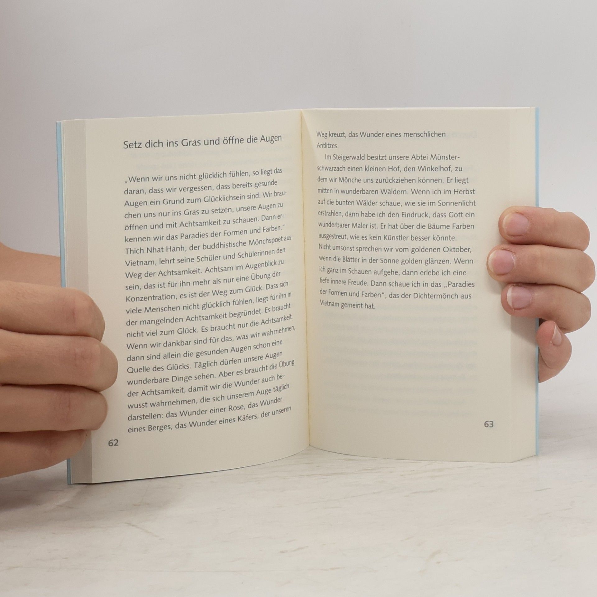 Anselm Grün Das kleine Buch der Lebenslust