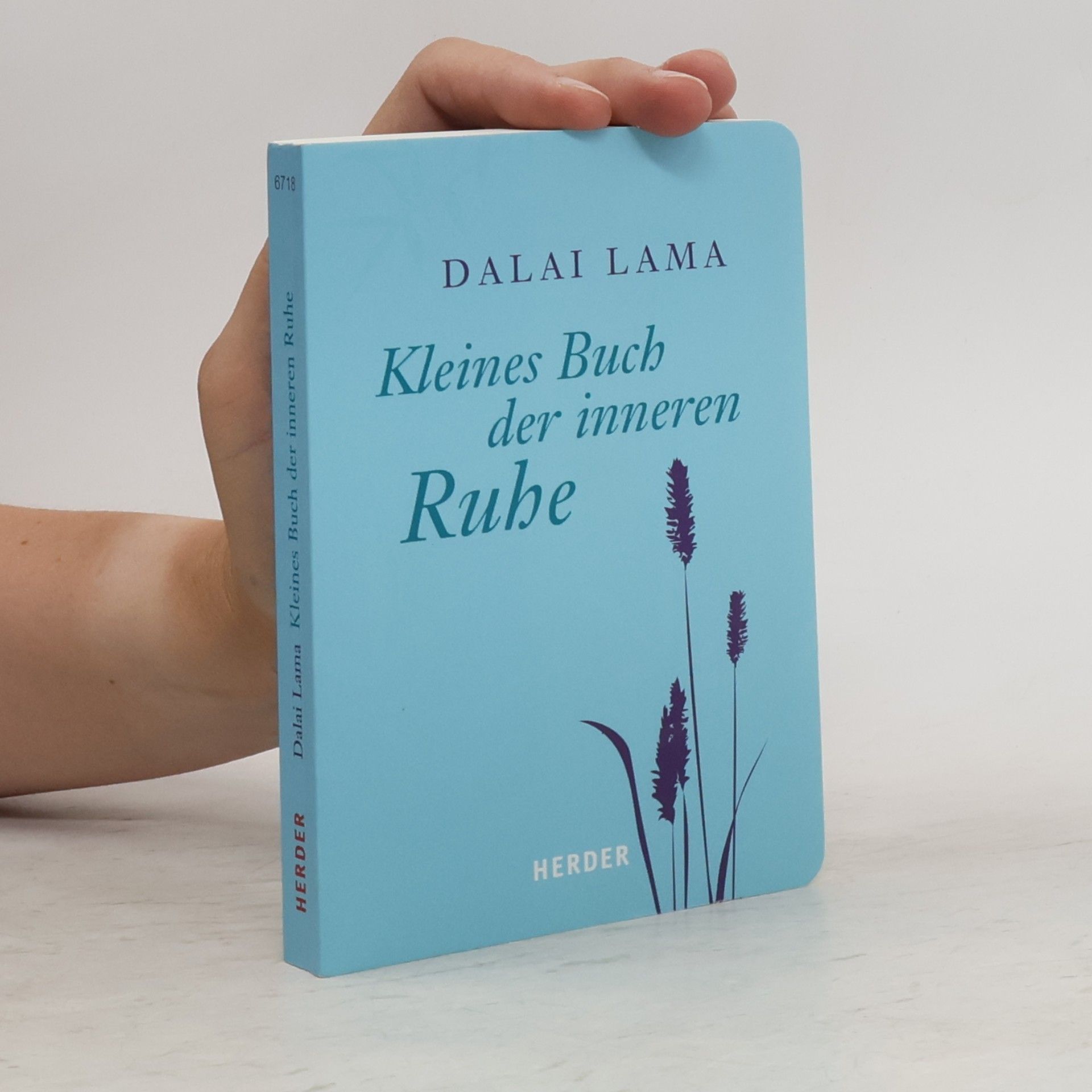 Kleines Buch der inneren Ruhe