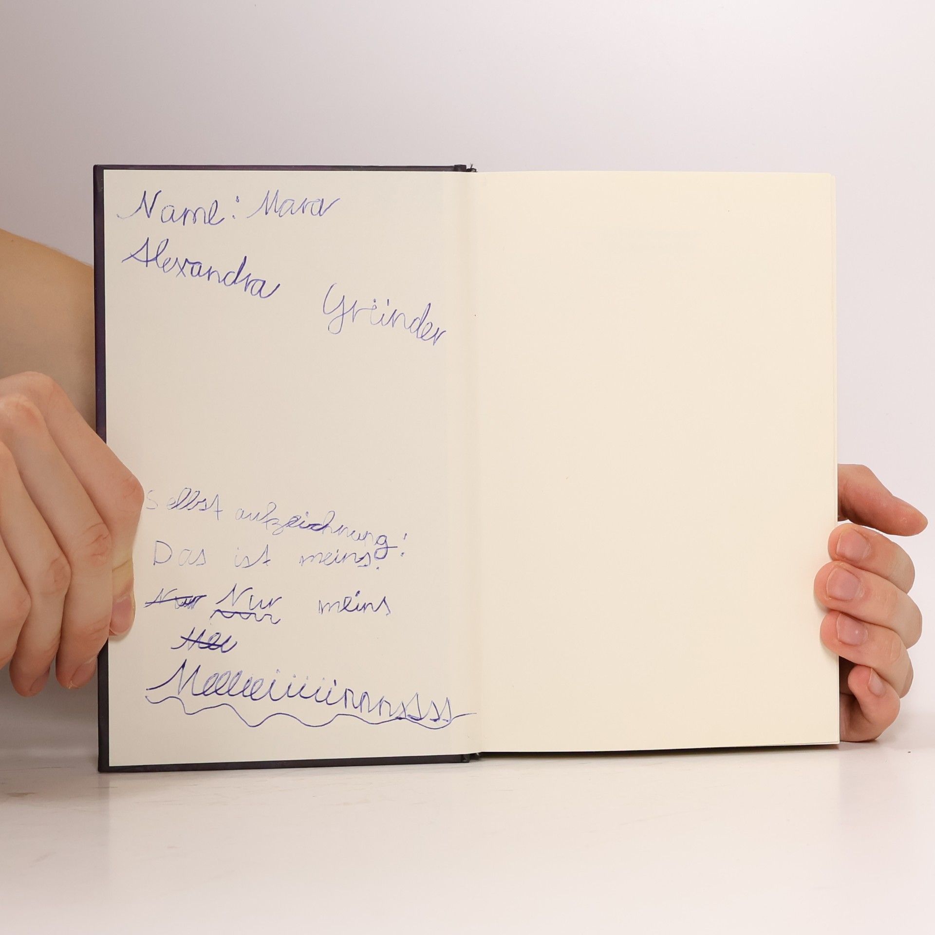 Nadja Fendrich Die Vampirschwestern – das Buch zum Film