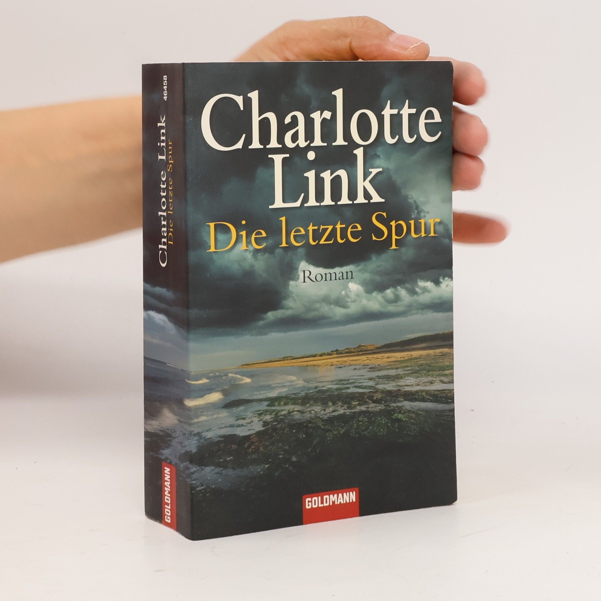 Charlotte Link Die letzte Spur