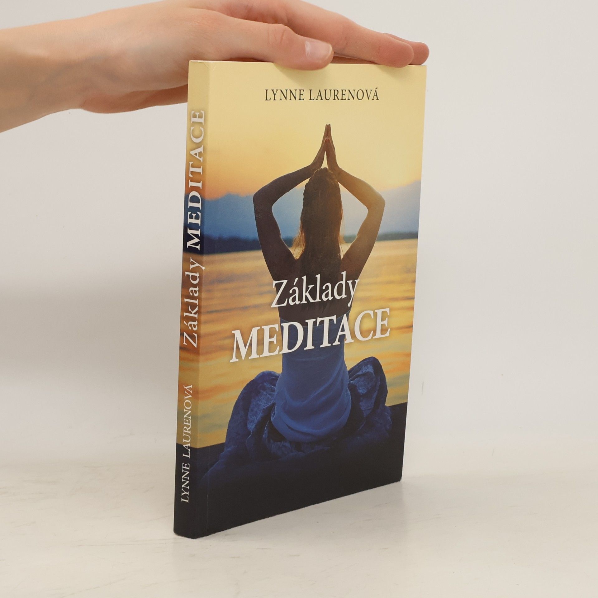 Lynne Lauren Základy meditace
