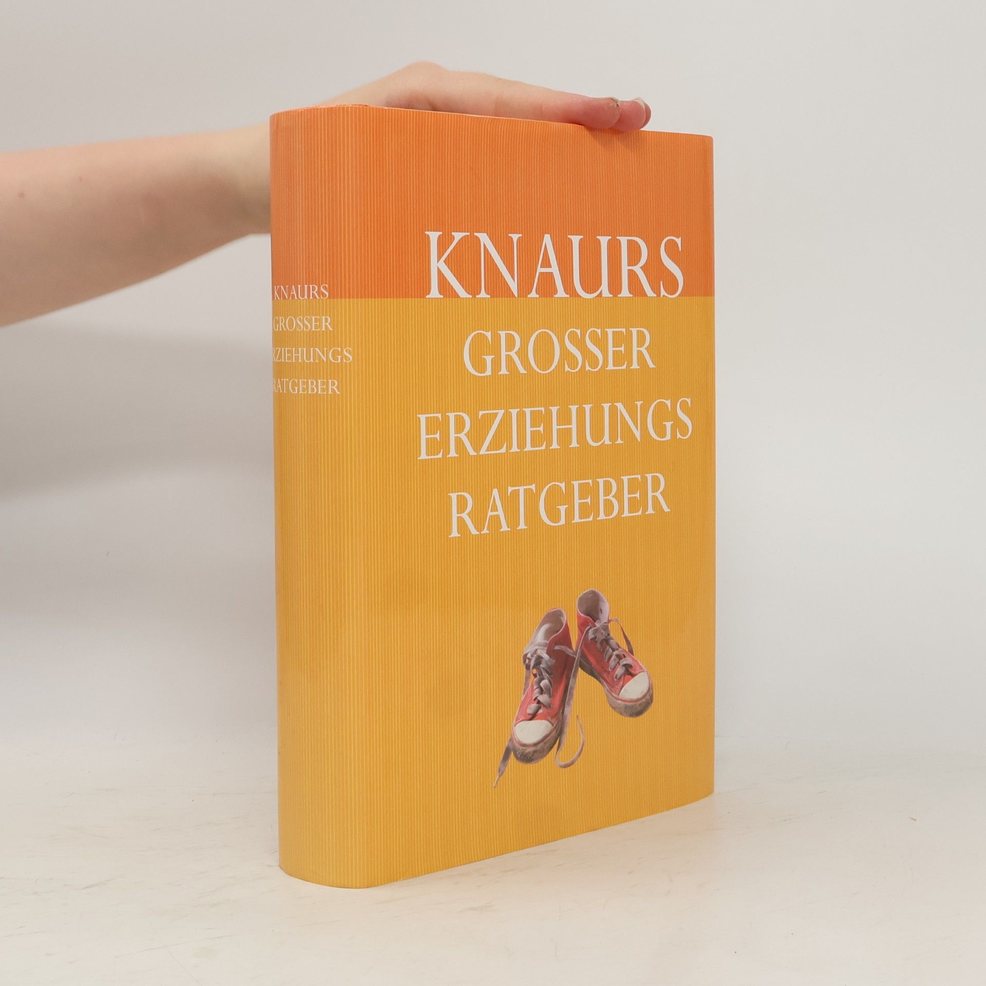 Martin Stiefenhofer Knaurs großer Erziehungs-Ratgeber