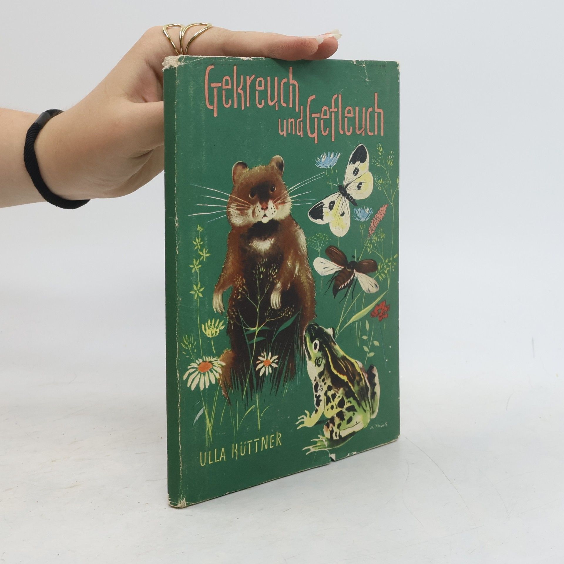 Ulla Küttner Gekreuch und Gefleuch