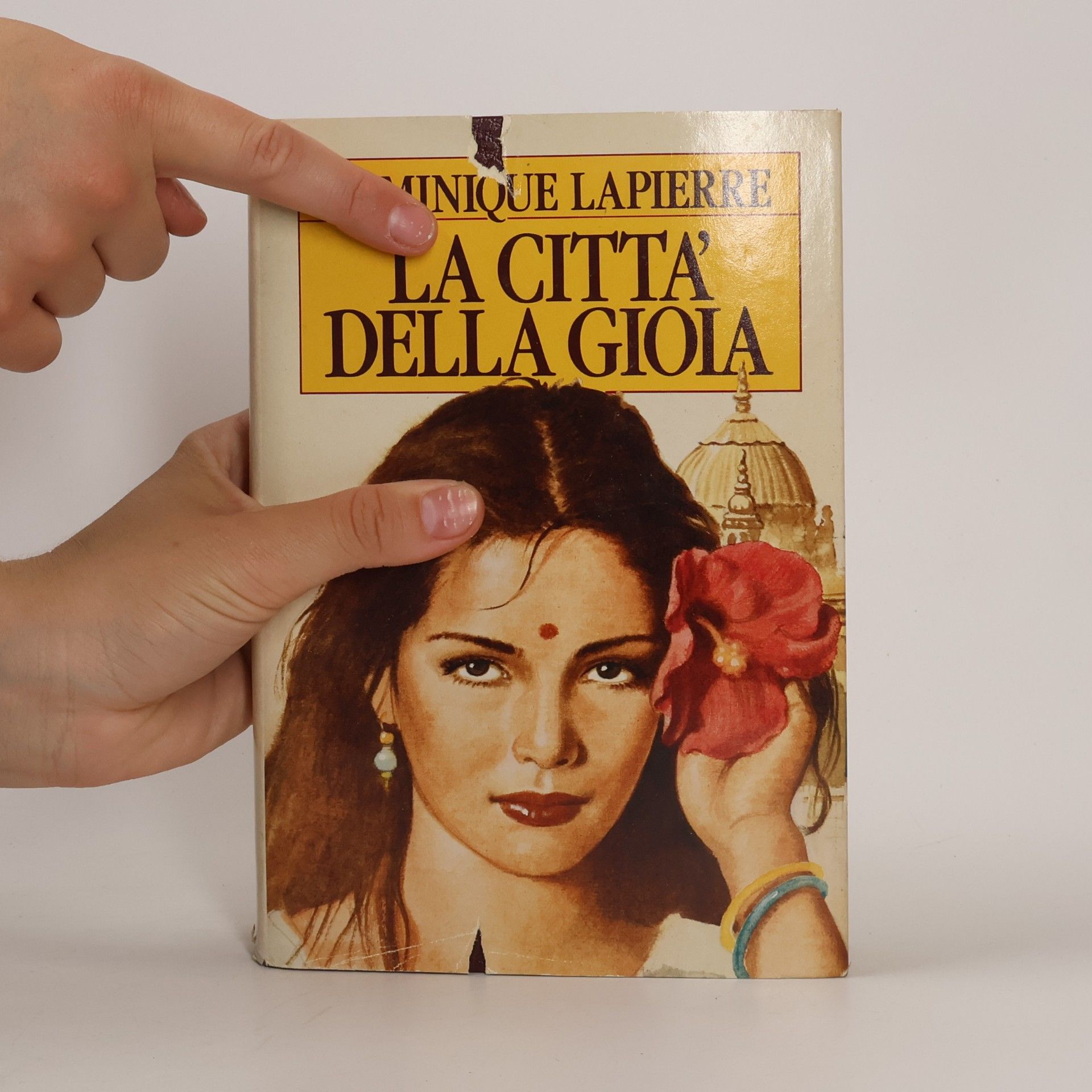 Dominique Lapierre La città della gioia