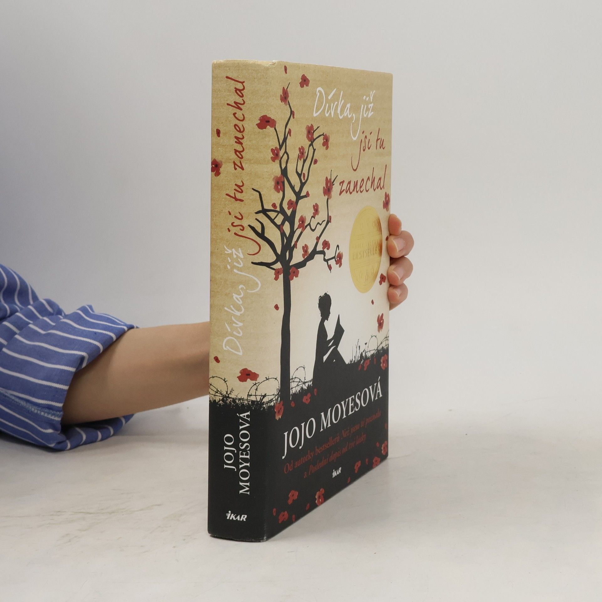 Jojo Moyes Dívka, již jsi tu zanechal