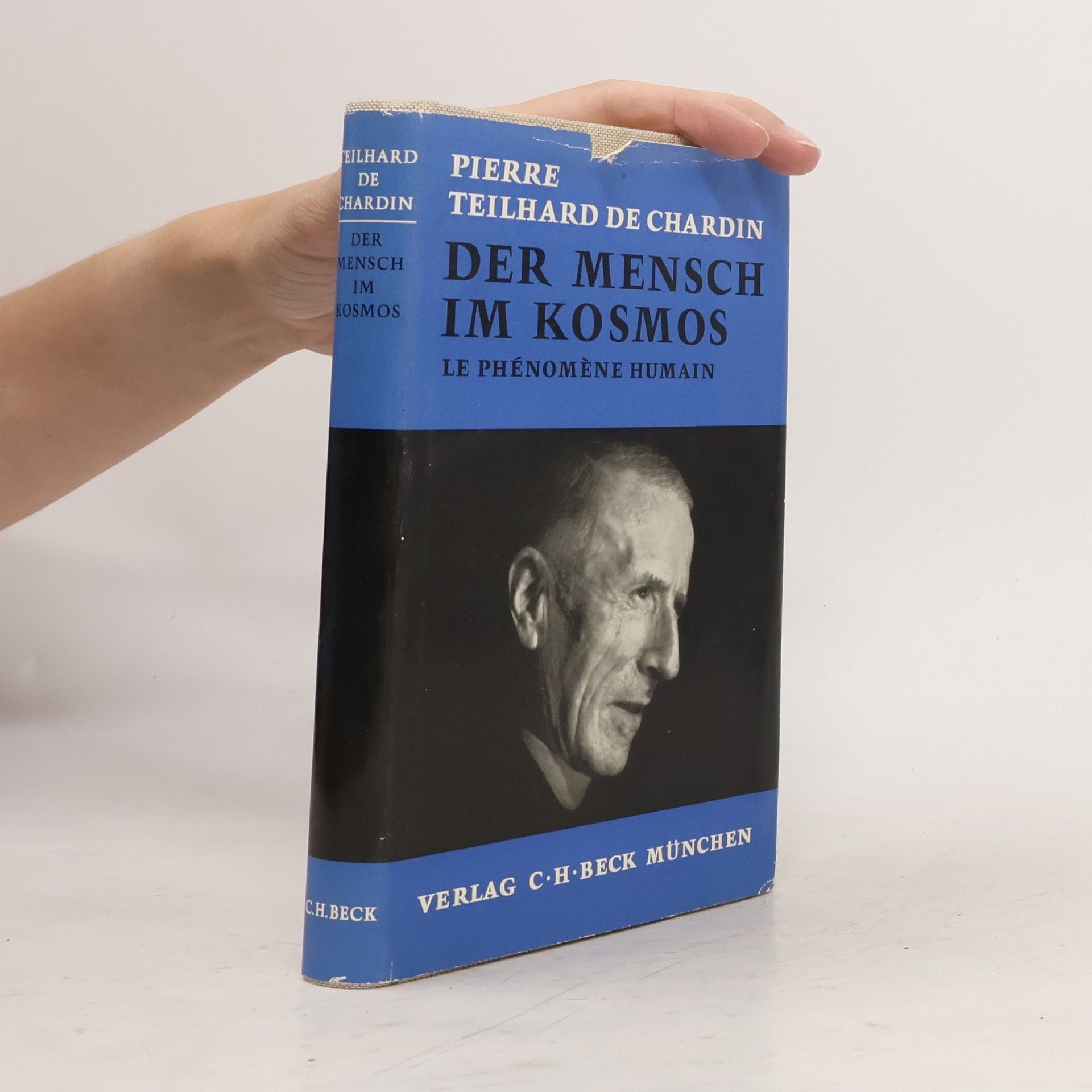Pierre Teilhard de Chardin Der Mensch im Kosmos