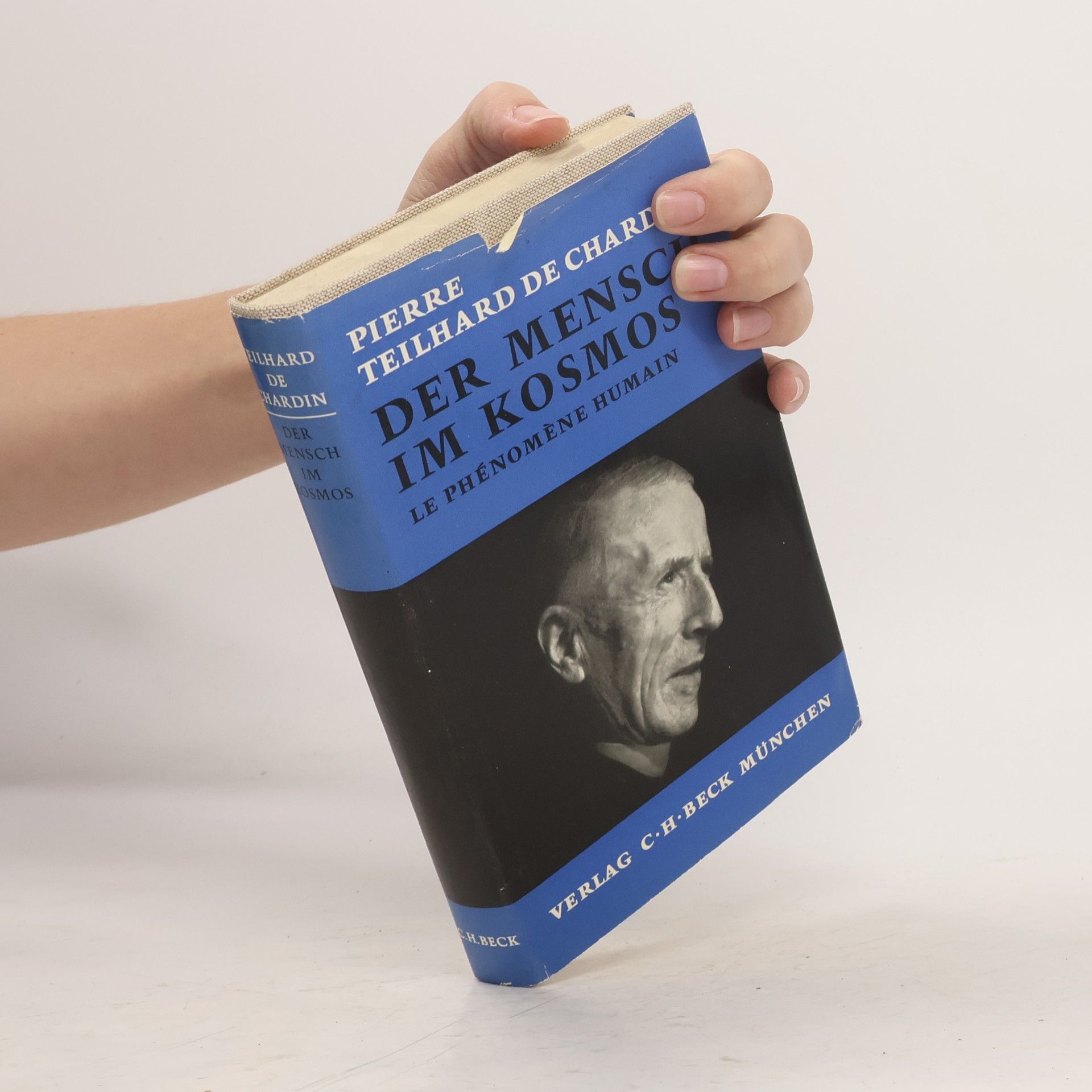 Pierre Teilhard de Chardin Der Mensch im Kosmos