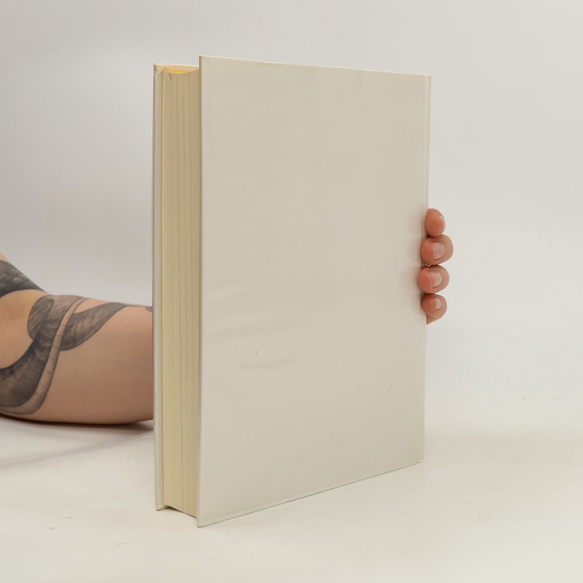 Gabriel García Márquez Die Nacht der Rohrdommeln