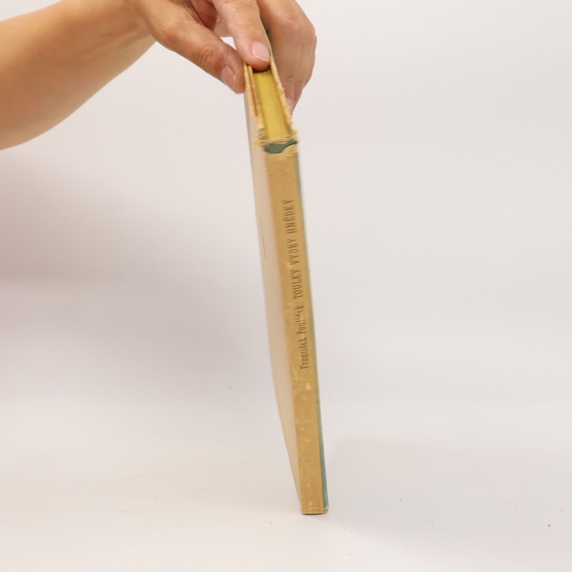 František Poulíček Toulky vydry hnědky