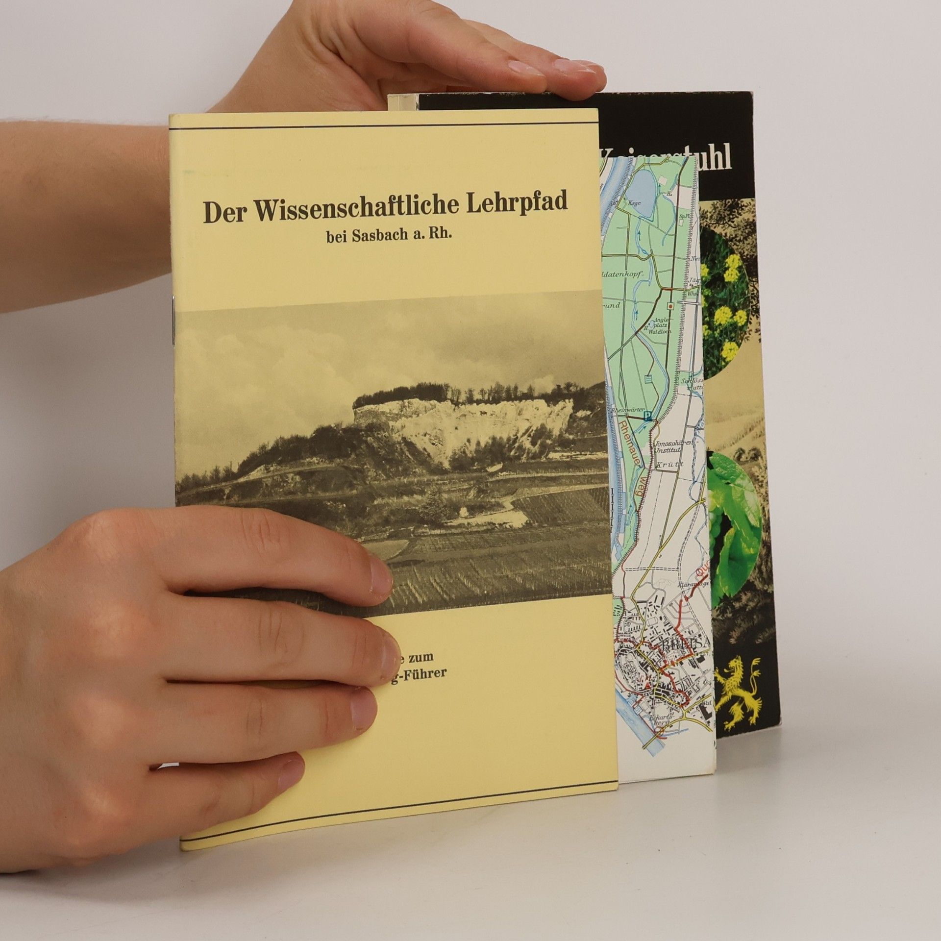Naturschutzgebiet Limberg am Kaiserstuhl