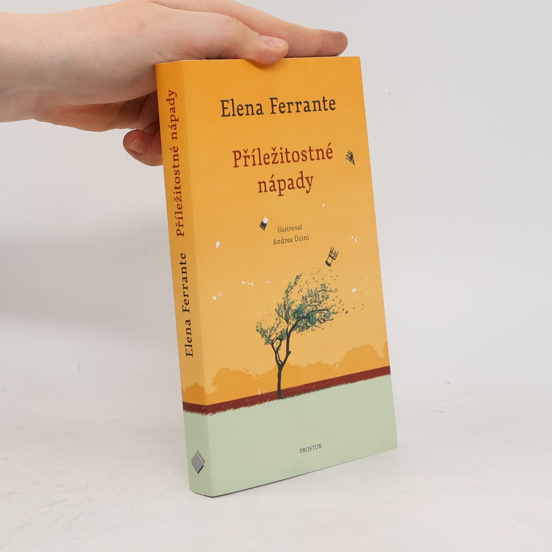 Elena Ferrante Příležitostné nápady
